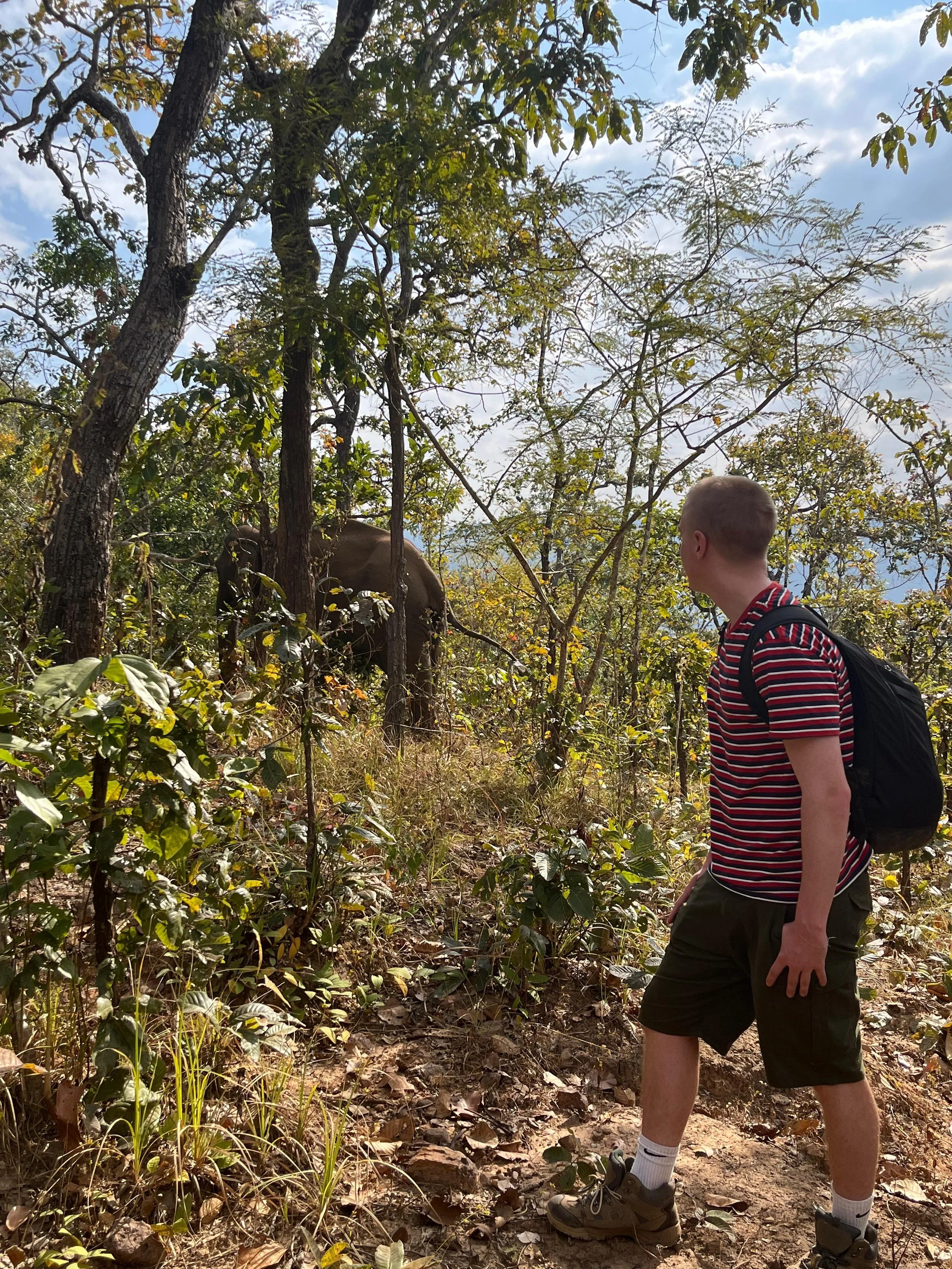 Five Days, Many Purposes