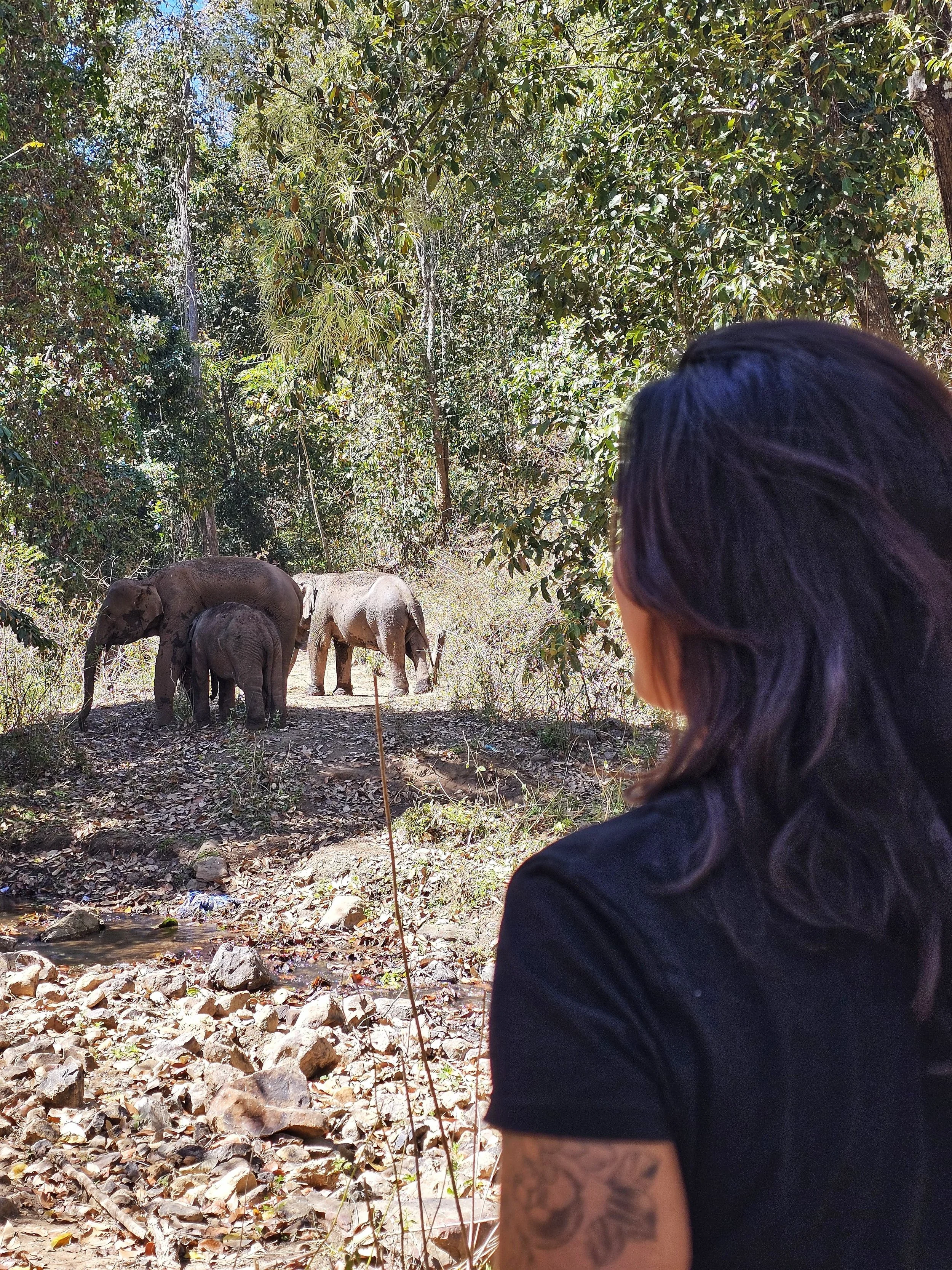 More Than an Internship