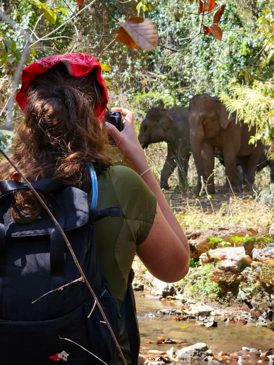 150,000 Reasons to Fall in Love with Elephants