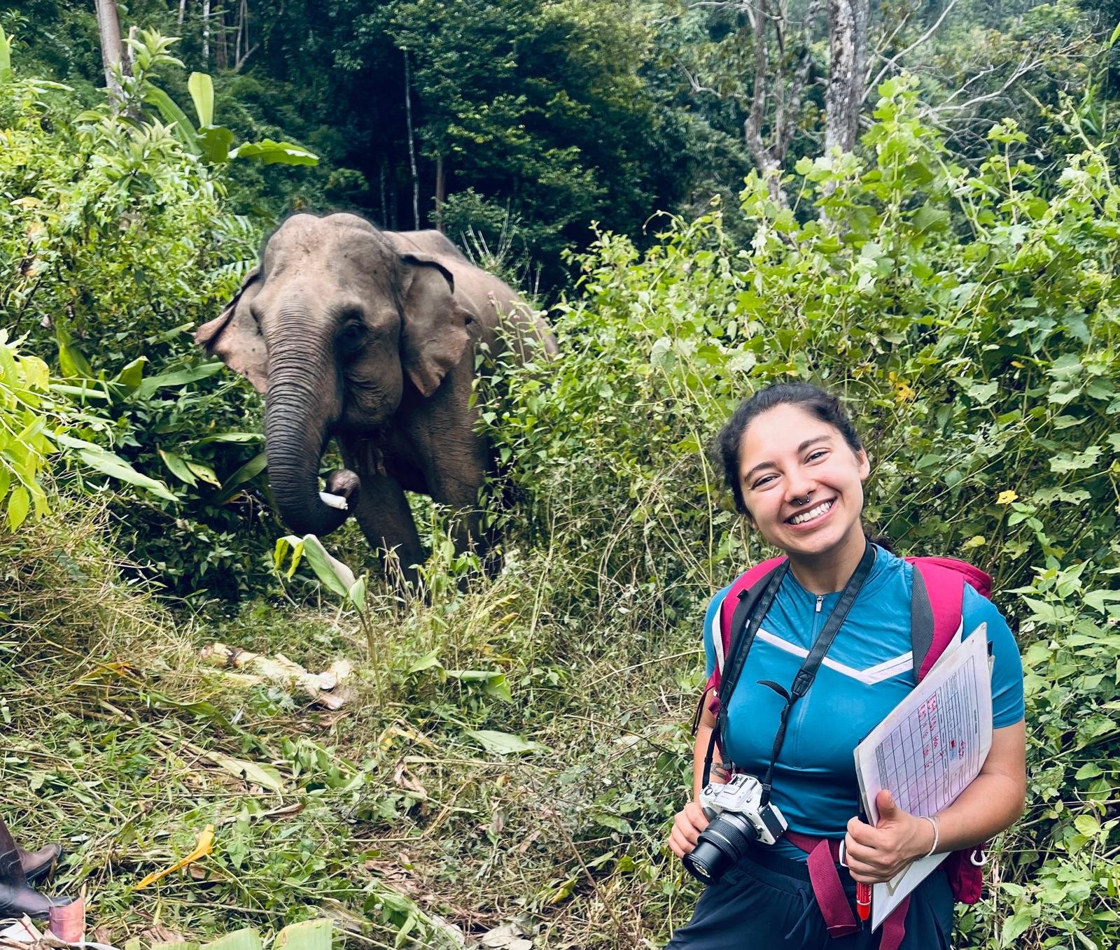 Returning to kindred spirit, four years later