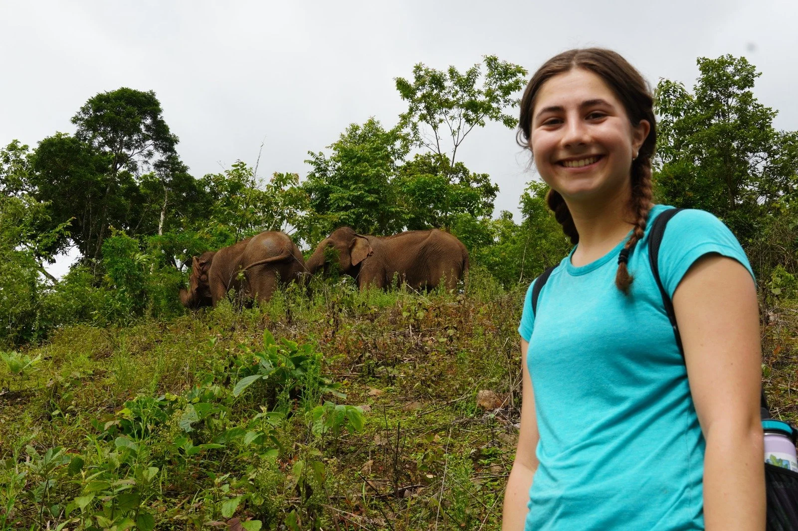 I Came for the Elephants, But Stayed for the Community