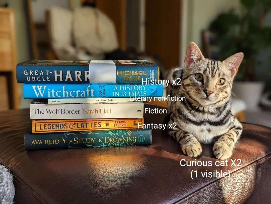 Book buys from @davidsbookslgc sale today :) Happy browsing.
.
.
.
#amreading #readingcommunity #bookpost #booklover #bookhaul #bookshop #independantbookstore #fantasybooks #bookstack #bookstagramuk #bookworm #historicalnonfiction #fiction #fictionlo