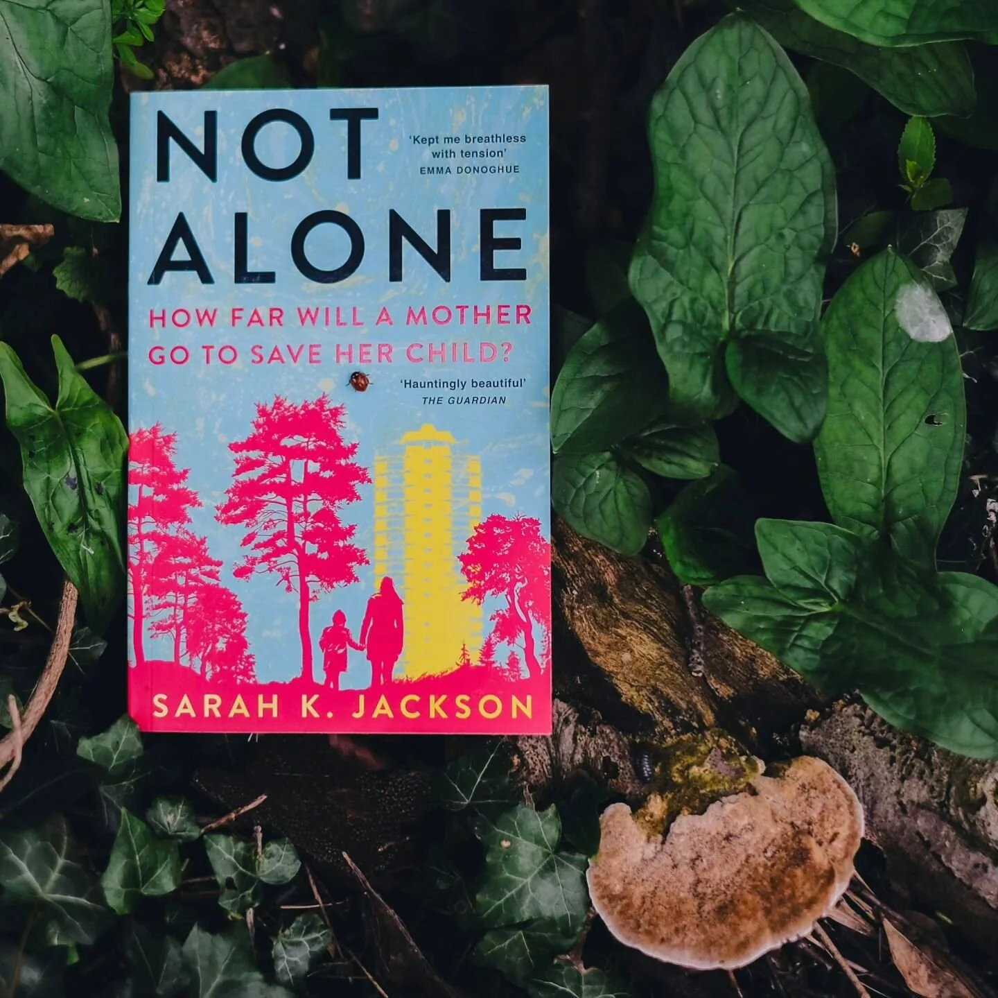 Paperback publication day looming...28th March next week! One week to go...

Got my first look at the newly printed books in the new cover so we took it for a photoshoot. Some of Harry's friends joined in (spot the seven spot ladybird and woodlouse :