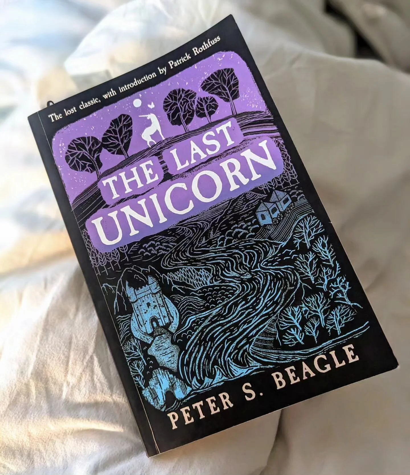Still reading for @davidsbookslgc book club on Wednesday! I got engrossed in Uprooted and Lud-in-the-Mist and rereading Ian Irvine...and forgot what I was supposed to be reading😬 Sometimes the mind wants to read what it wants to read. Relieved for a