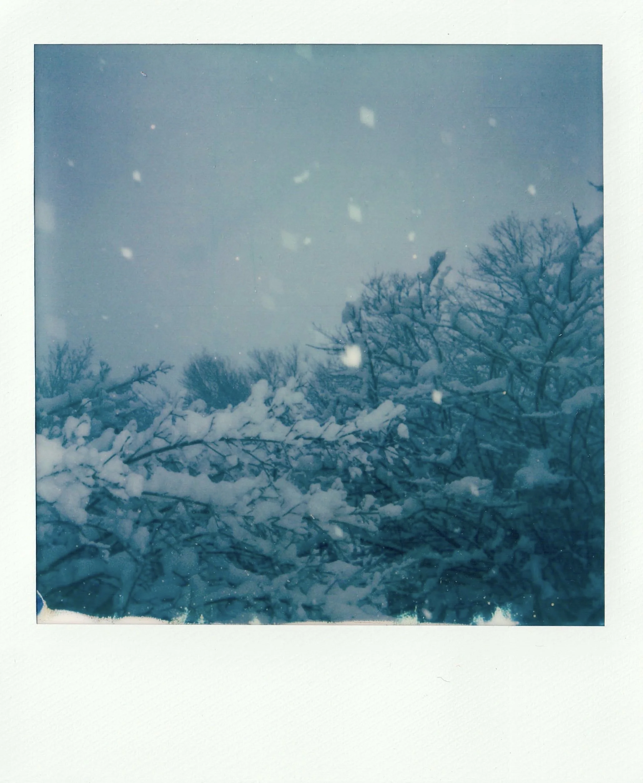 Snowday2.jpg