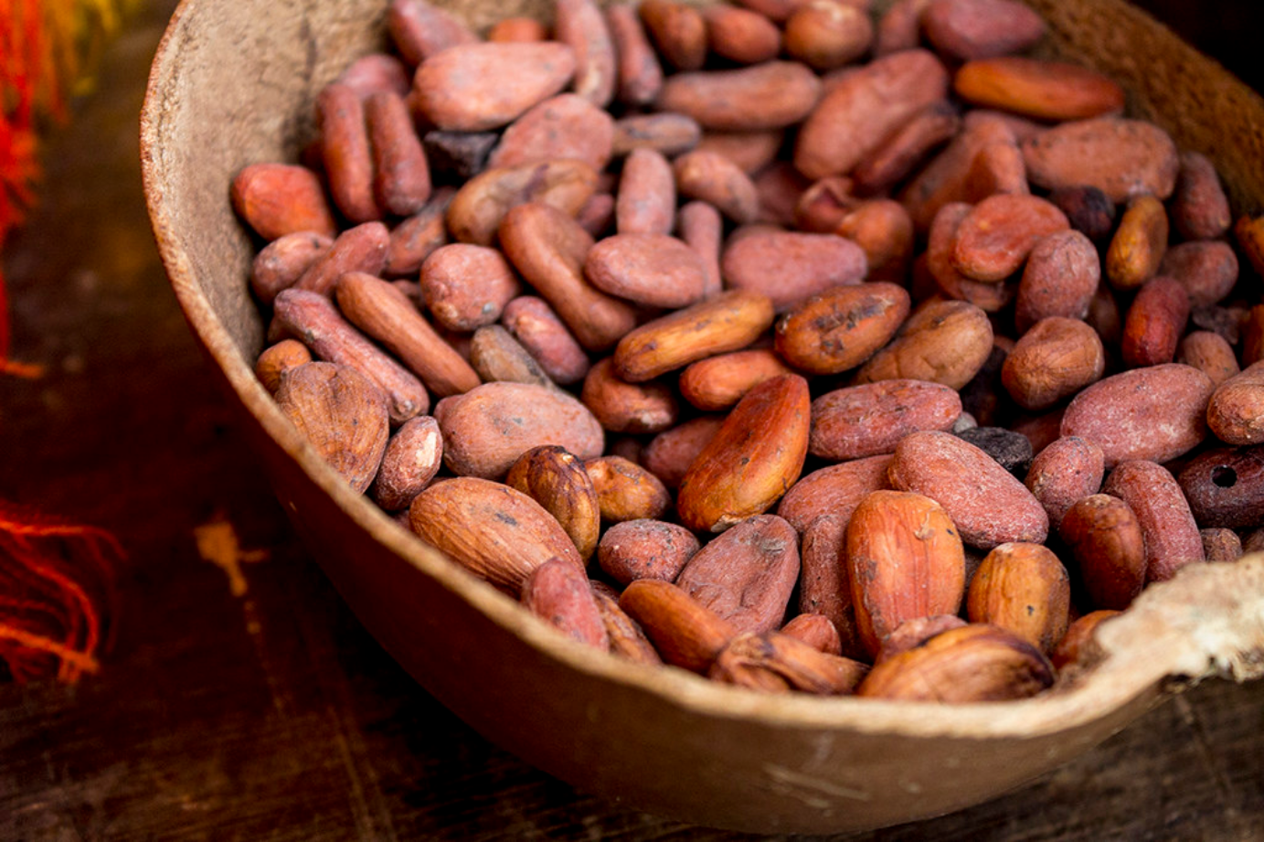 Cacao aa.png