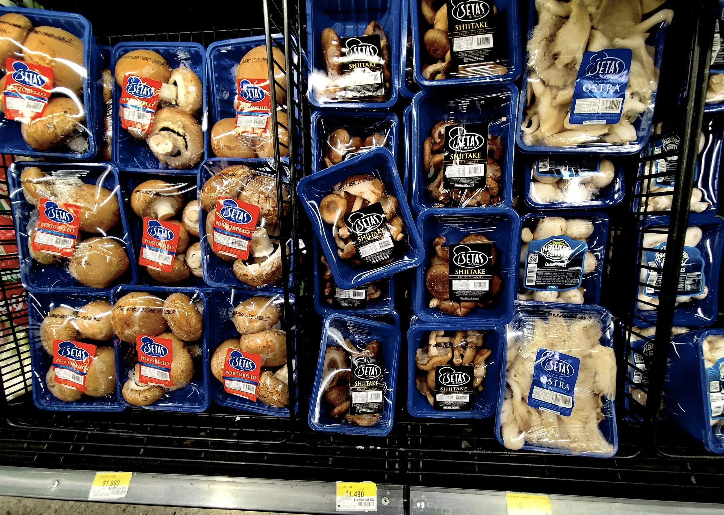 mushrooms_supermarket04.jpg