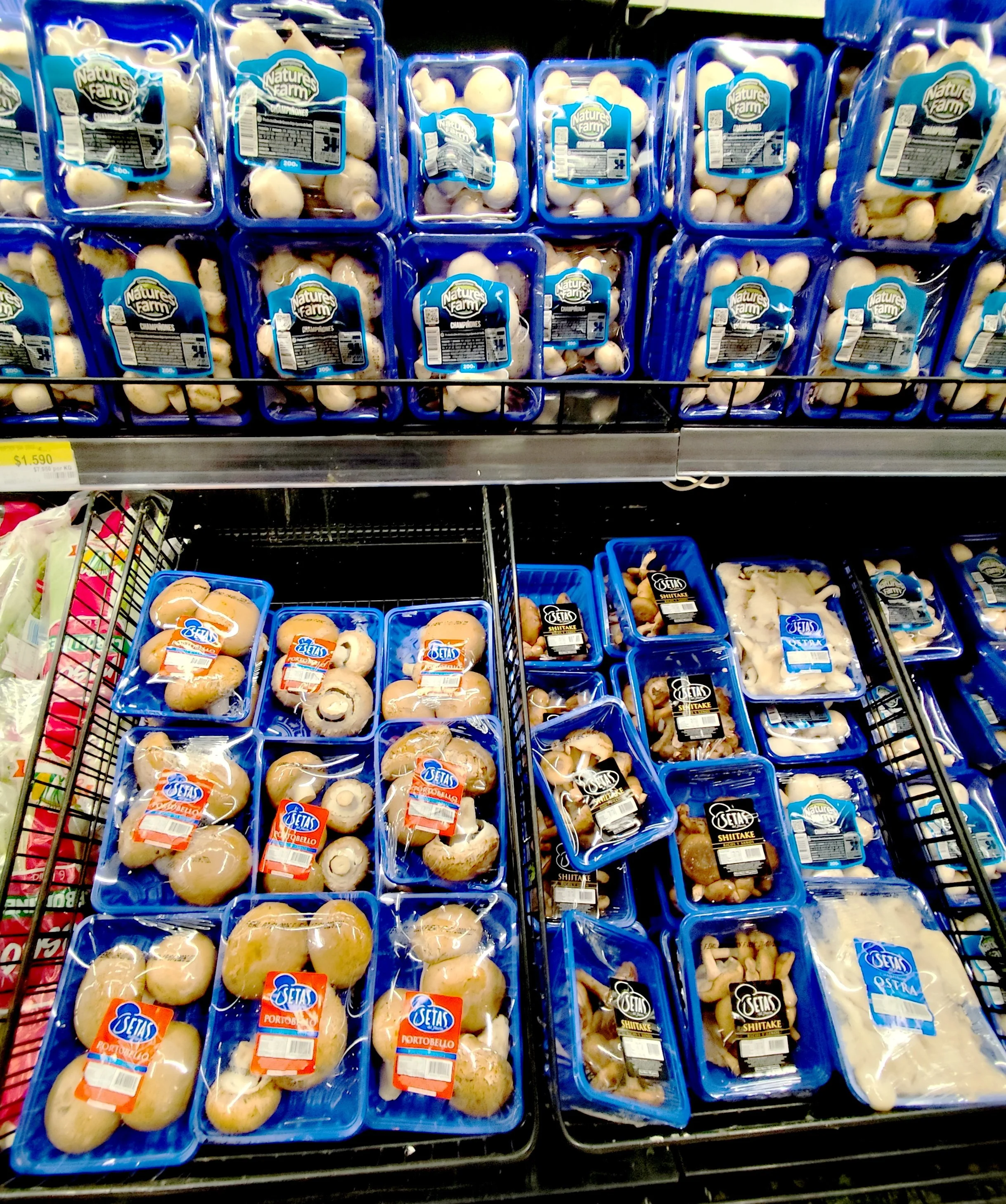 mushrooms_supermarket05.jpg