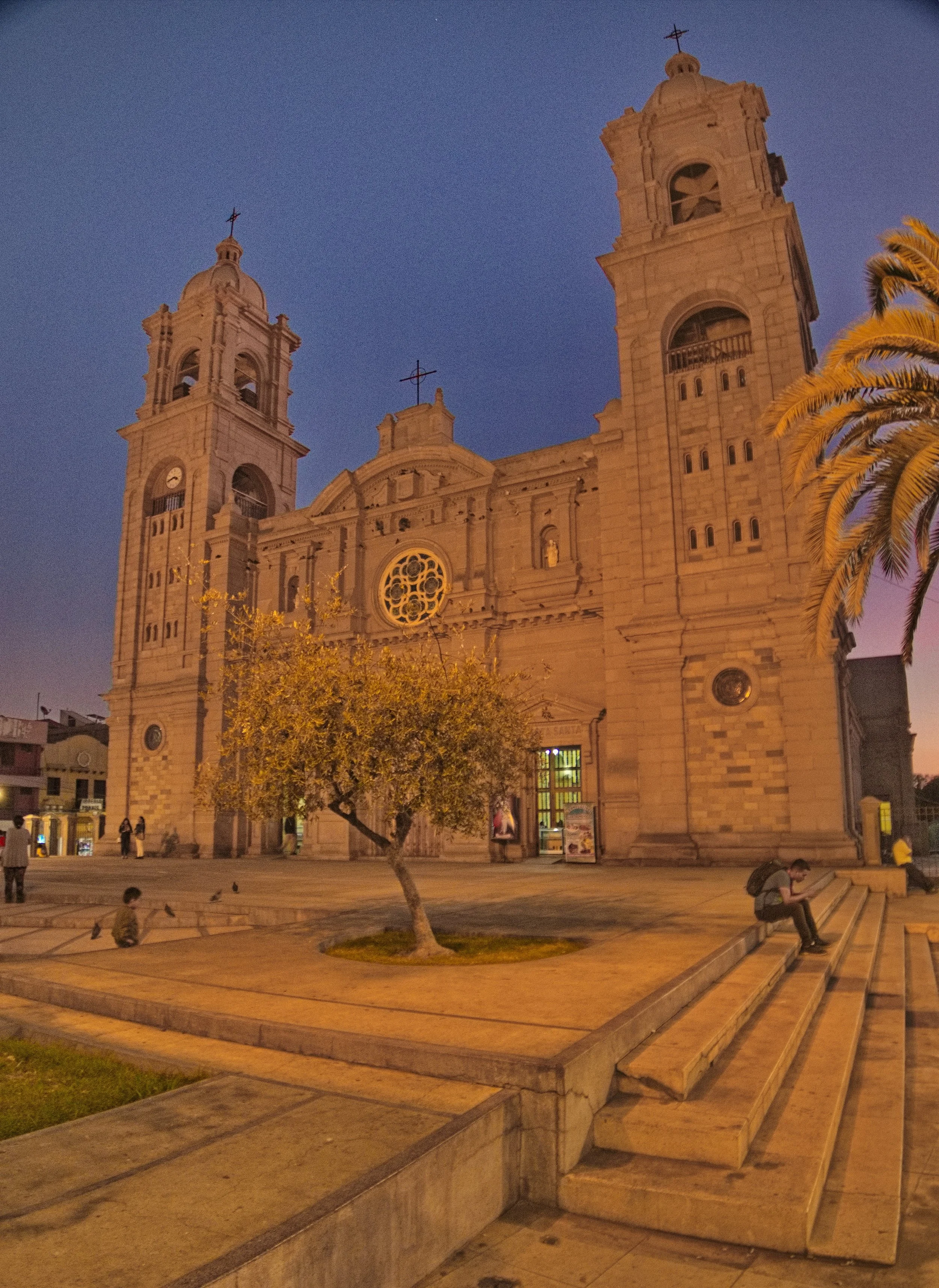 A historic church with twin bell towers illuminated at dusk, with a tree and a person sitting on stairs in front.