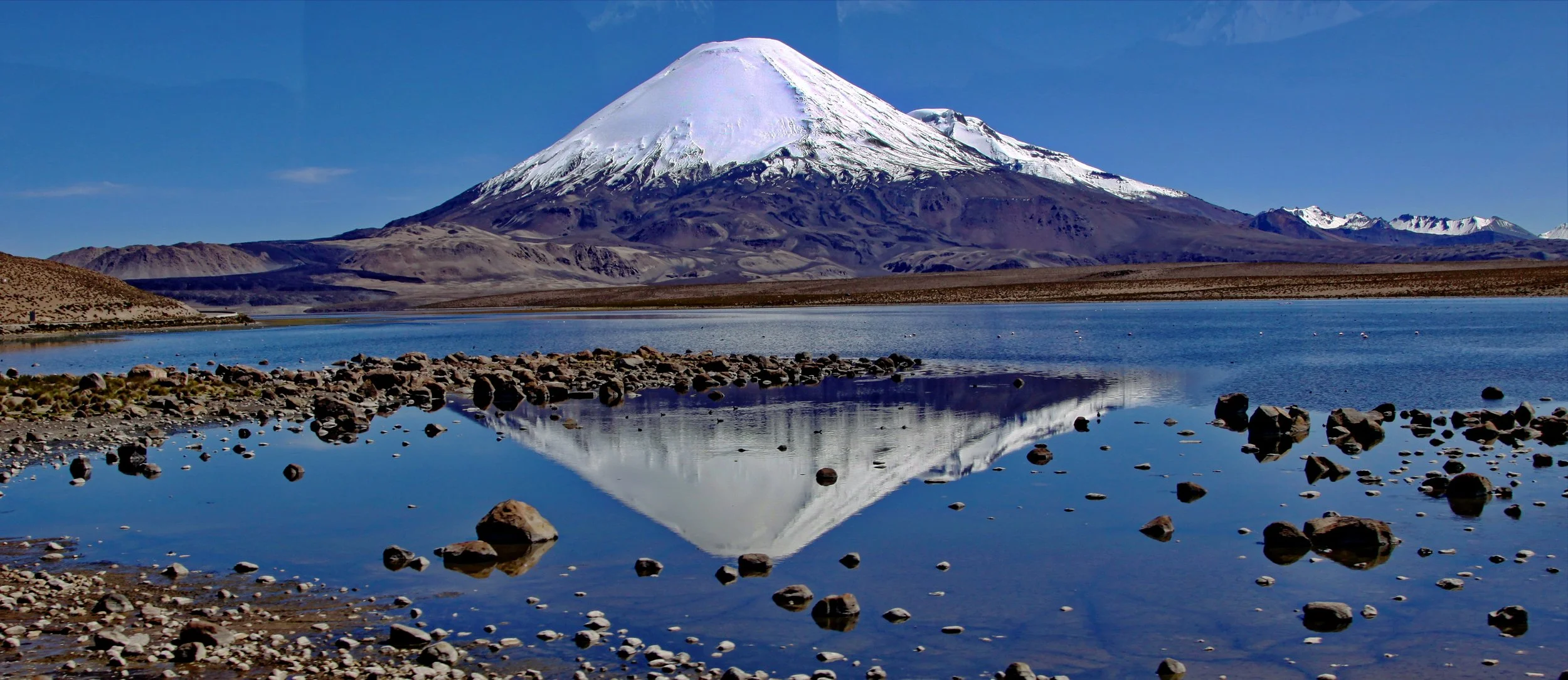 swanstein - Copy.jpg