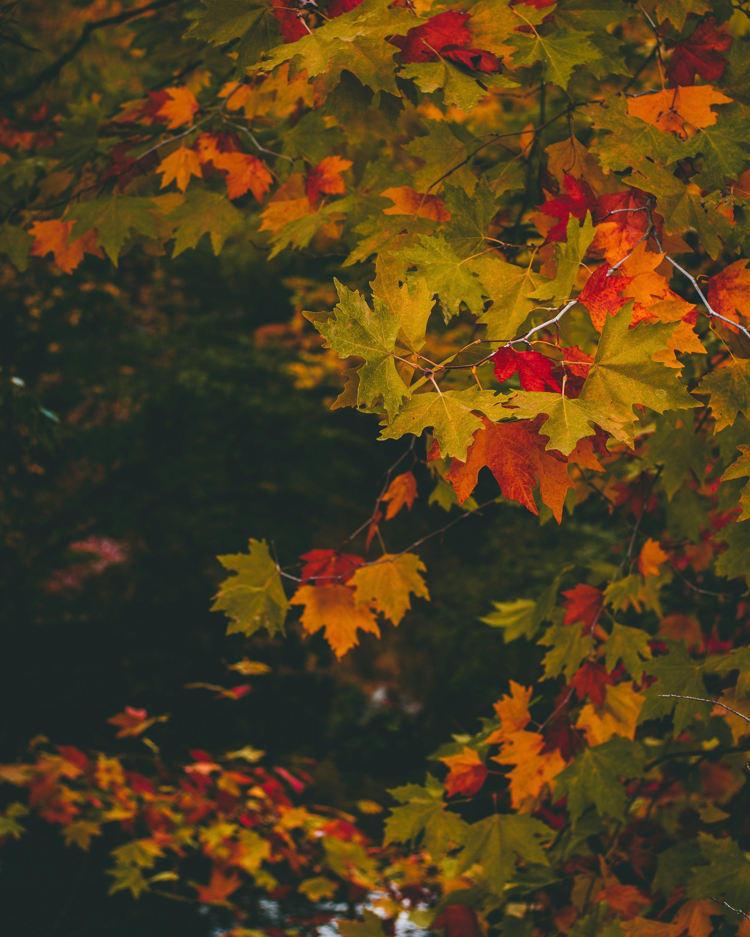 The Good Table Fall Retreat 2026 — Pastors & Leaders