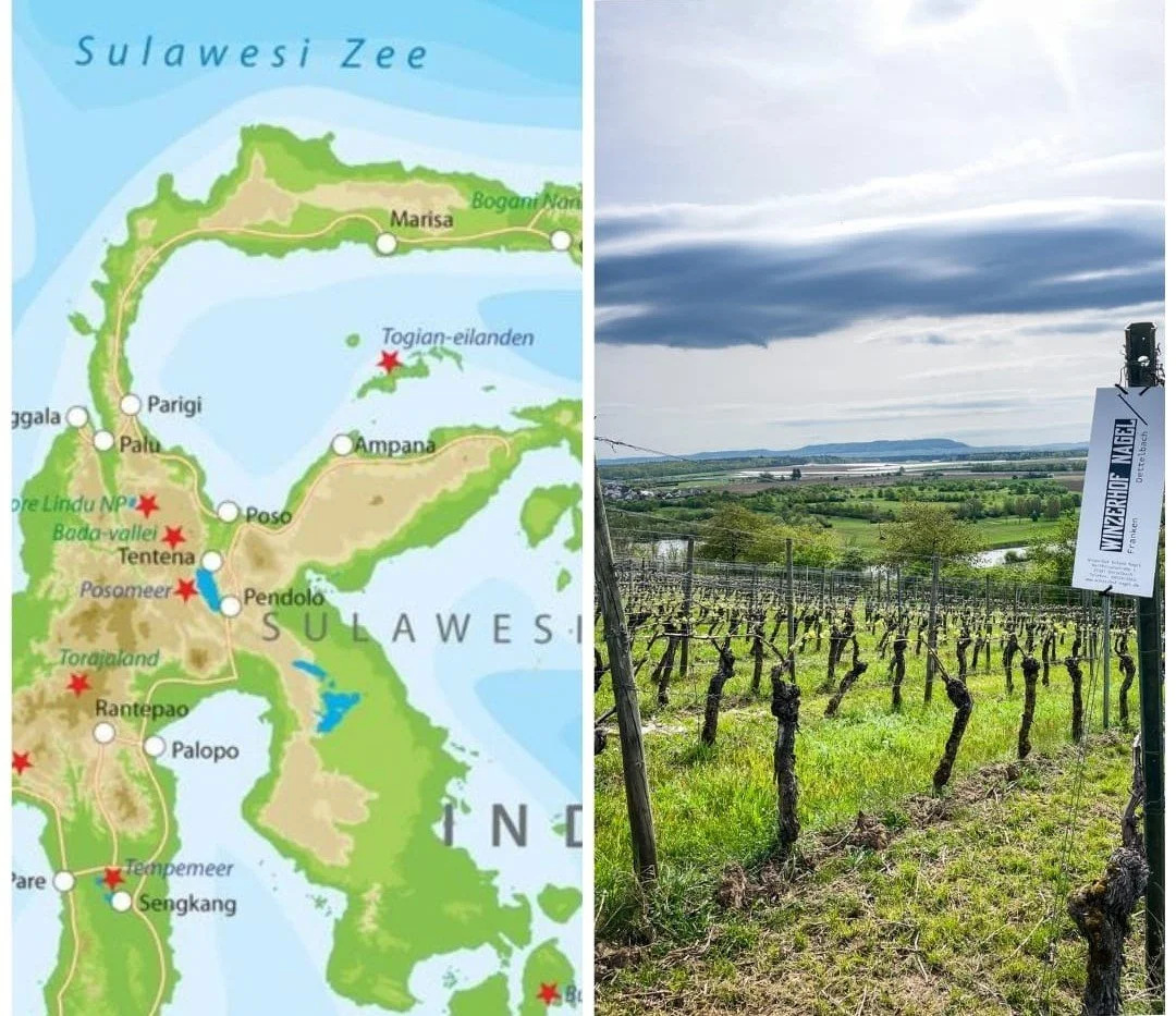 4 gangen lunch Winzerhof Nagel meets WAber