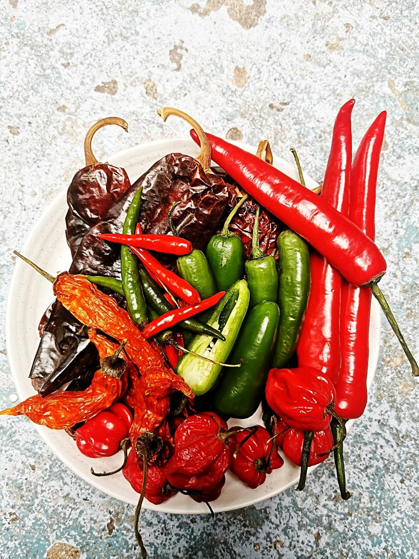 Sambal workshop januari 2027