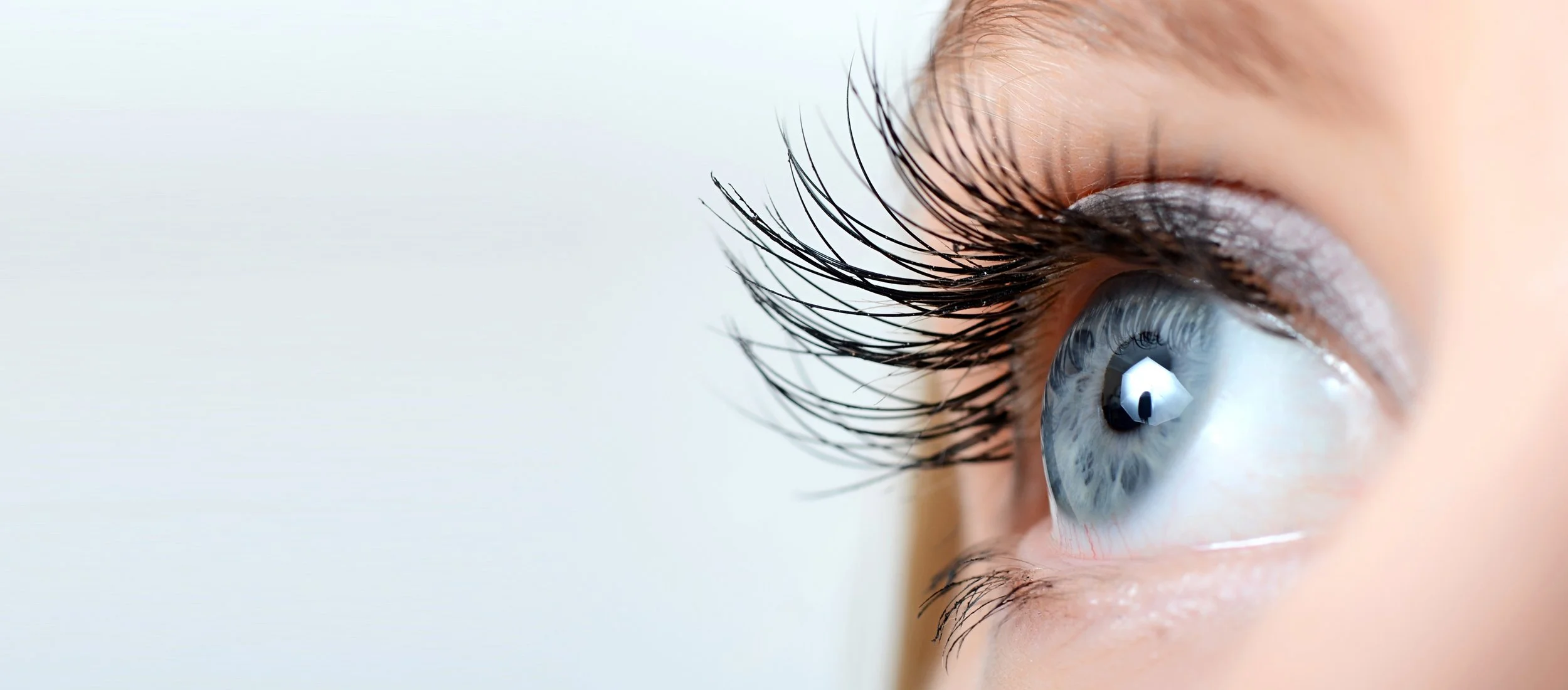 Un oeil bleu en gros plan regarde vers l'horizon