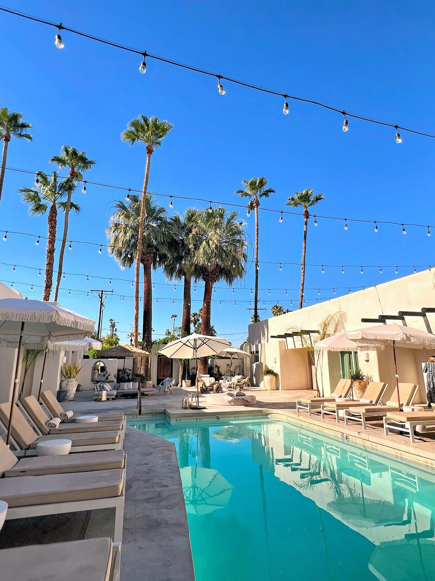 The kind of quiet that speaks volumes 🌴

#palmsprings #peace #poolside #travel #theconqueress