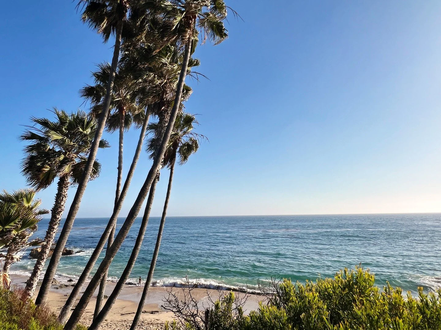 Easy breezy day 🌴
#lagunabeach #ocean #summervibes #california #theconqueress