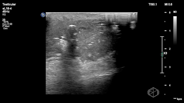August SonoProps