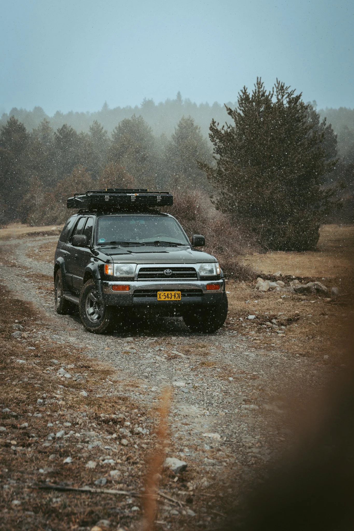 Eighty_Five_Photography_DSC05275.jpg