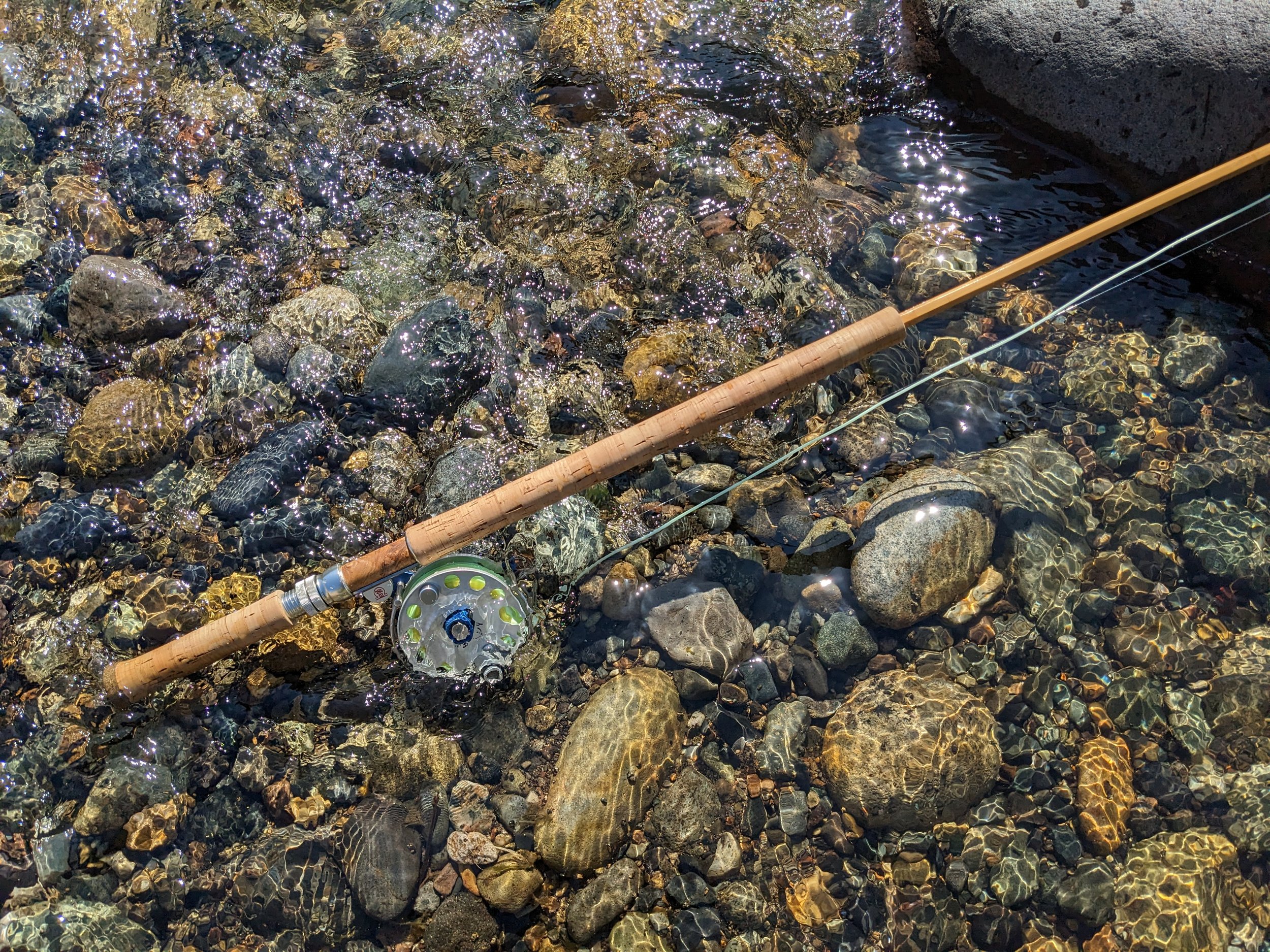 PXL_20230419_051755718.MP (1).jpg