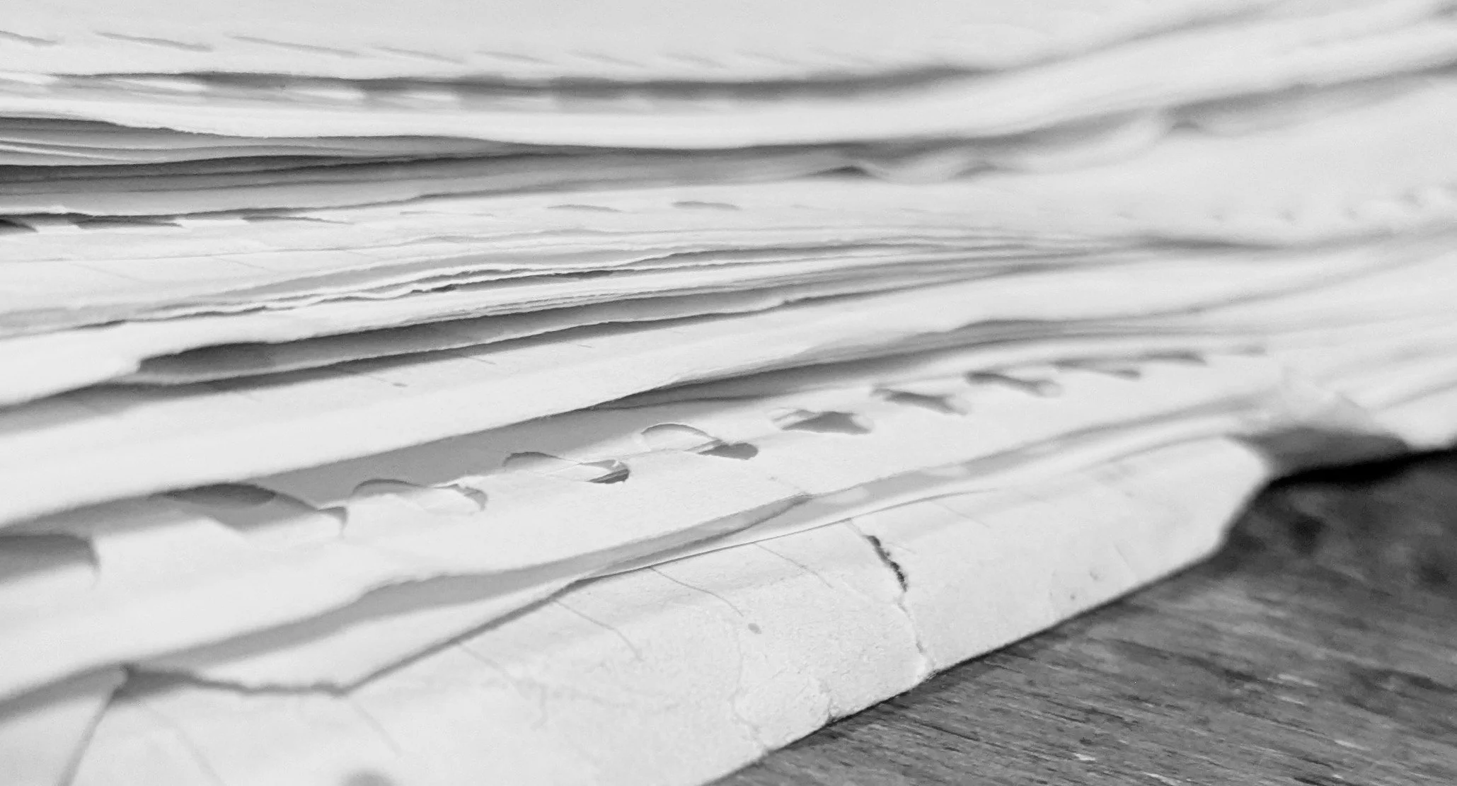 PXL_20241222_072210089~3 (1).jpg