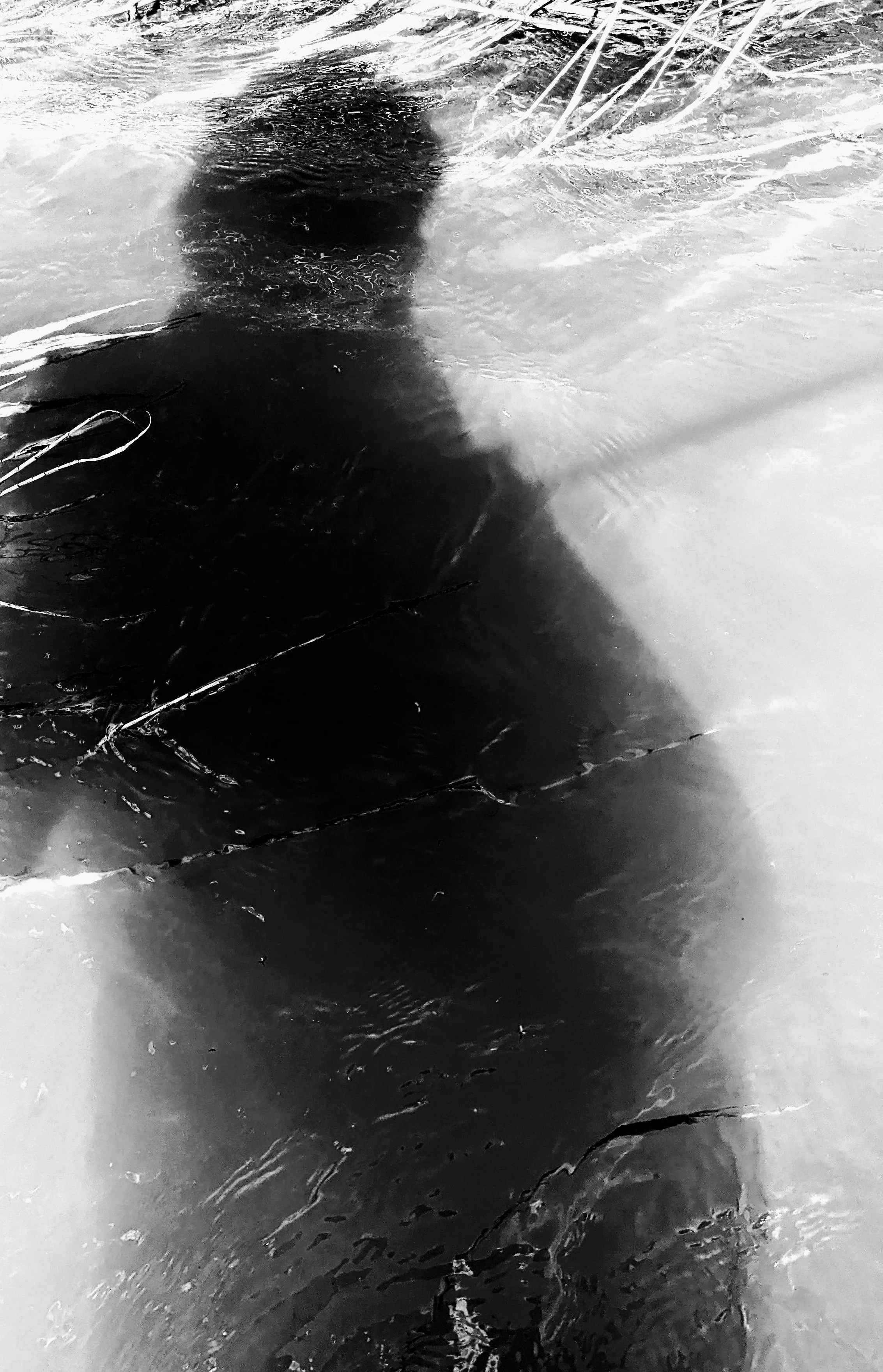 Black and white photograph of a person submerged in water, with only the head and upper body visible, surrounded by waves and water splashes.