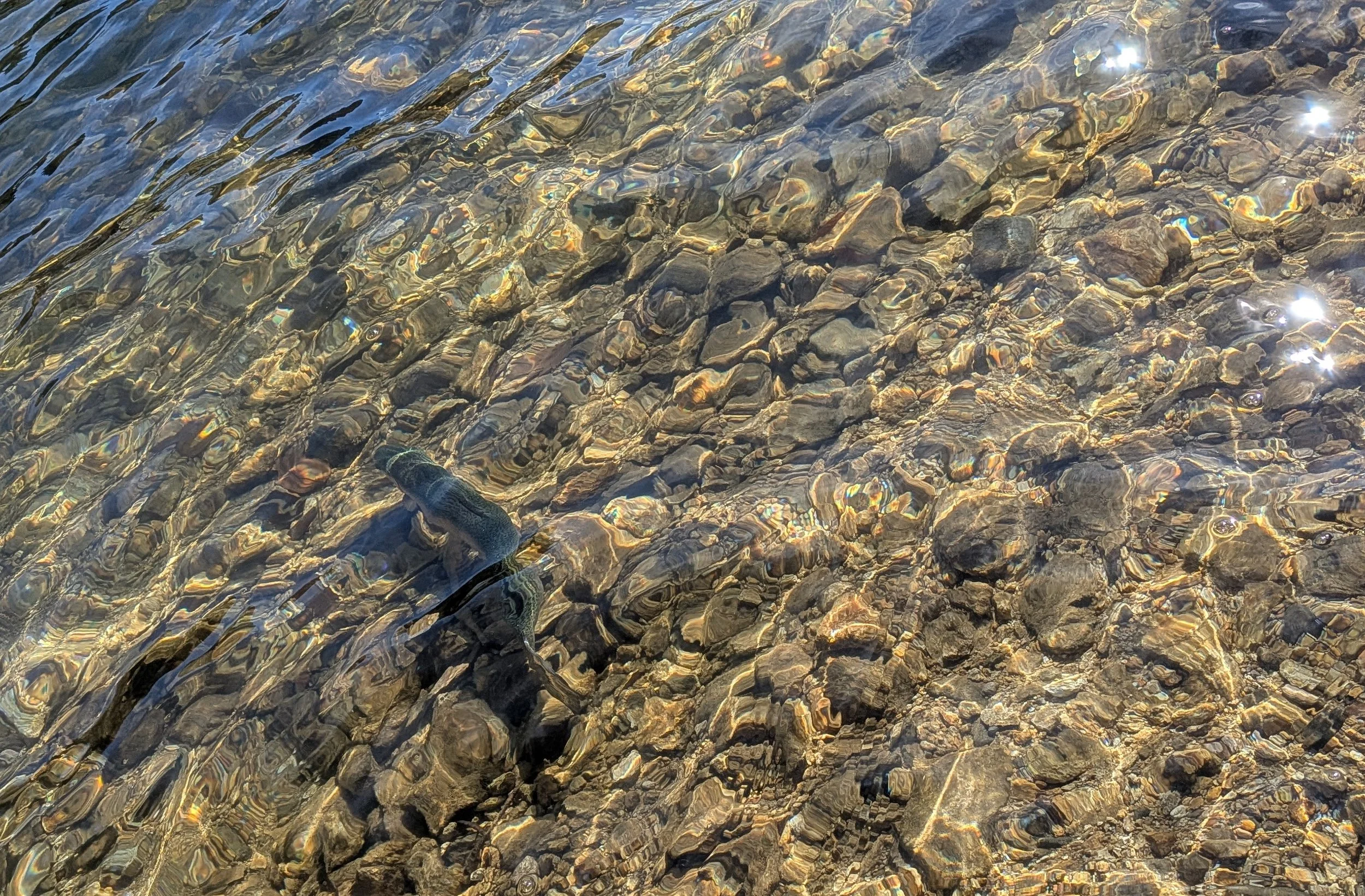 Close-up view of transparent water over small rocks and pebbles, with sunlight reflecting on the water surface.