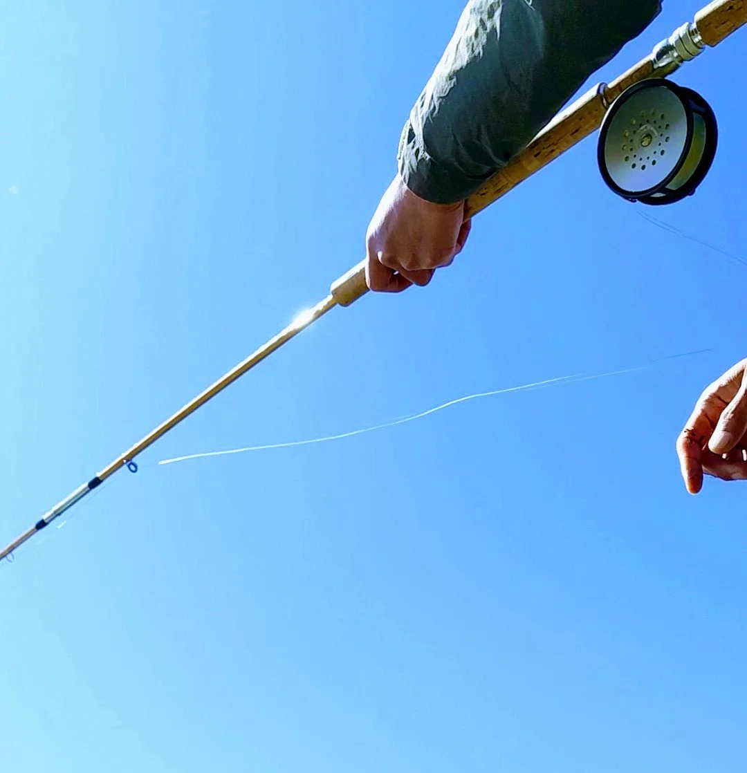 PXL_20250320_030540525_exported_19335~3 (1).jpg