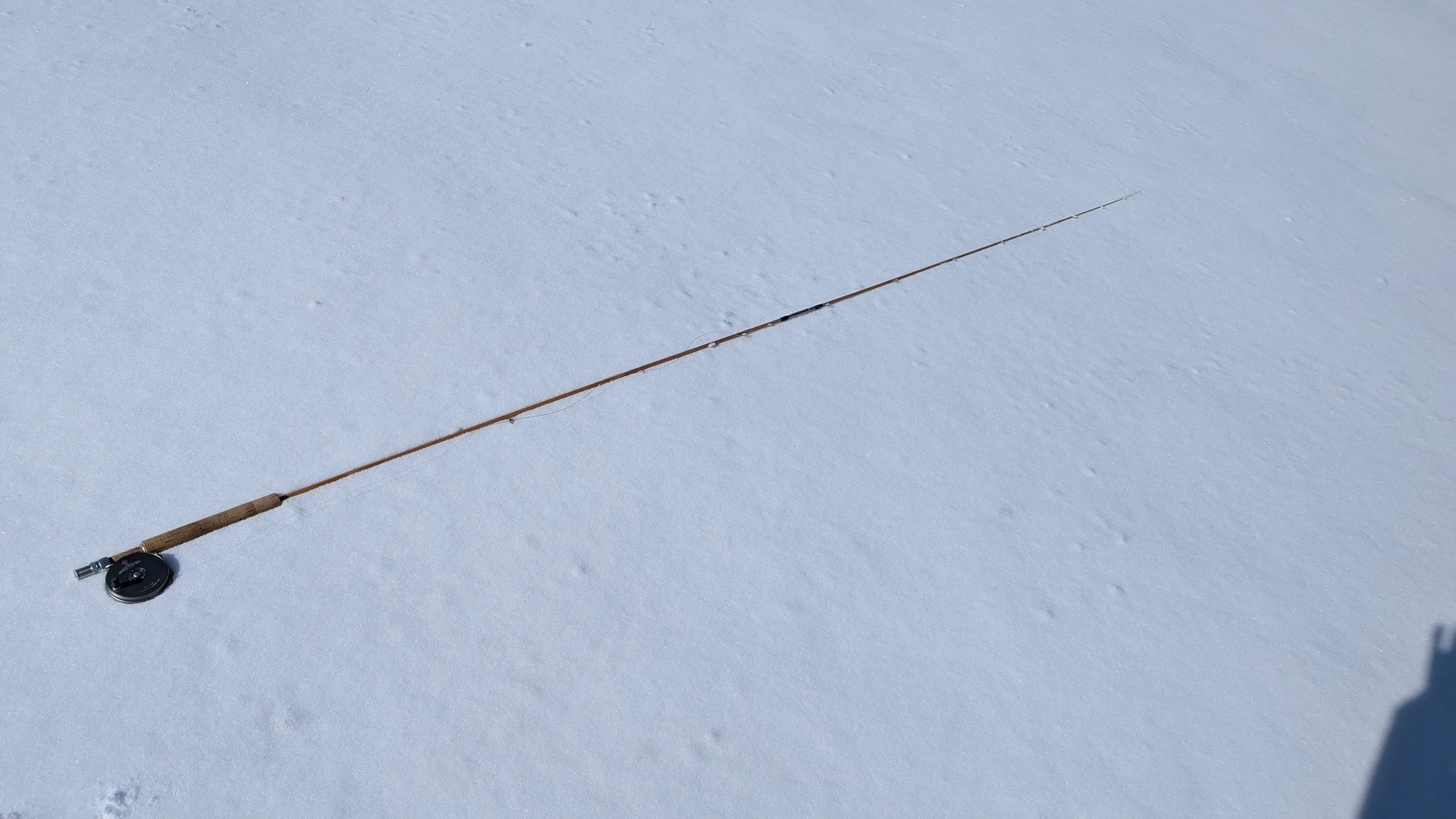 PXL_20260127_021858367 (1).jpg