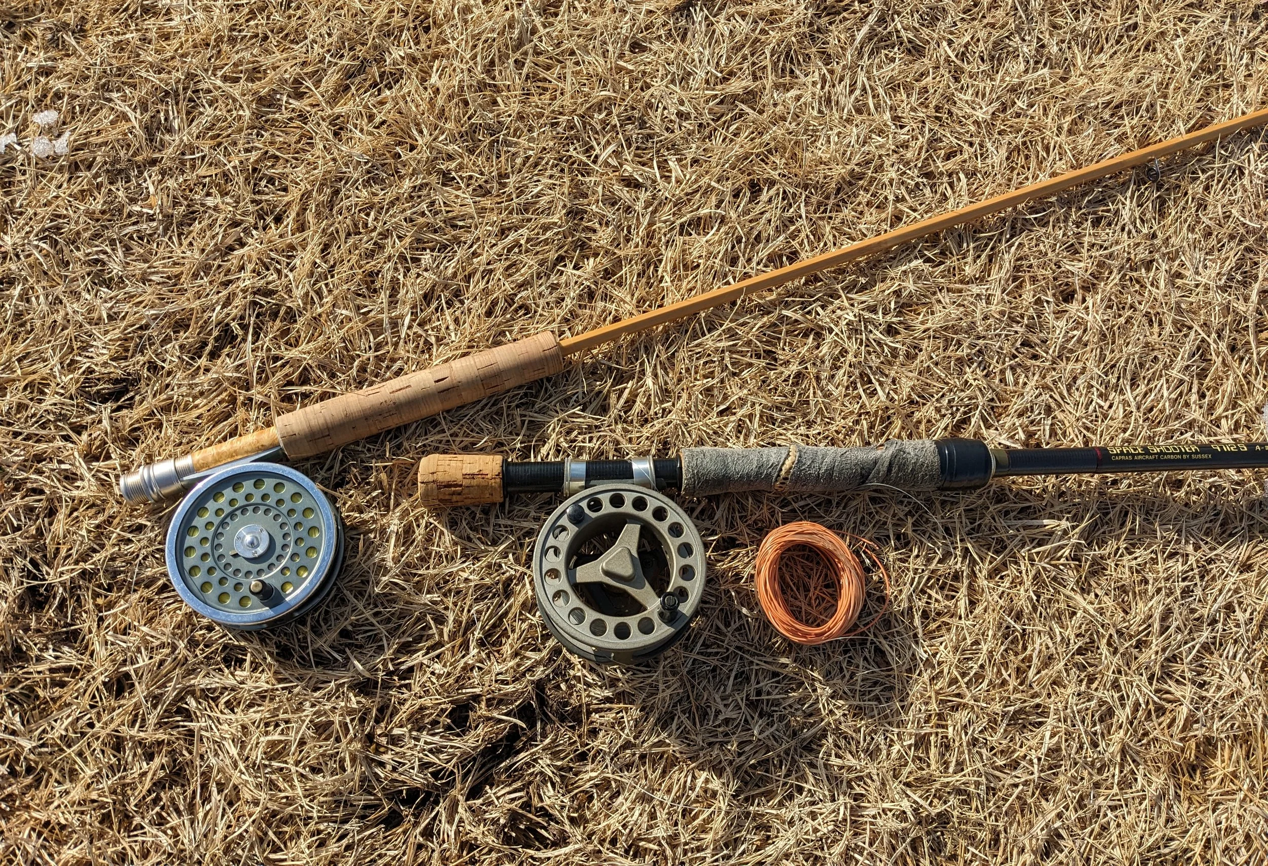 PXL_20240127_010824714 (1).jpg