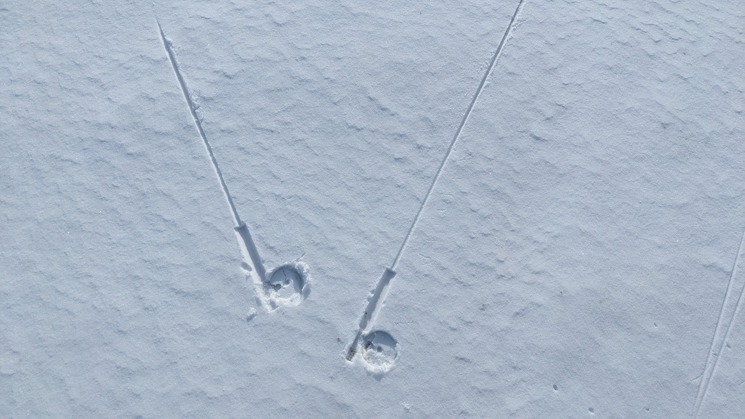 Footprints in fresh snow with ski tracks and ski poles.