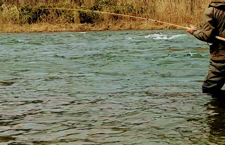 Person fishing in a river with grasses and trees in the background.