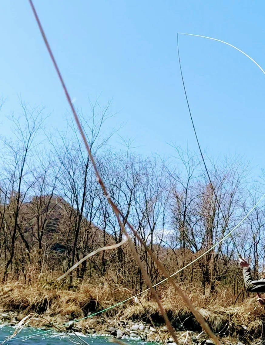 View from a boat of leafless trees along a rocky riverbank, with fishing lines cast into the water and a person holding a fishing rod on the right side.