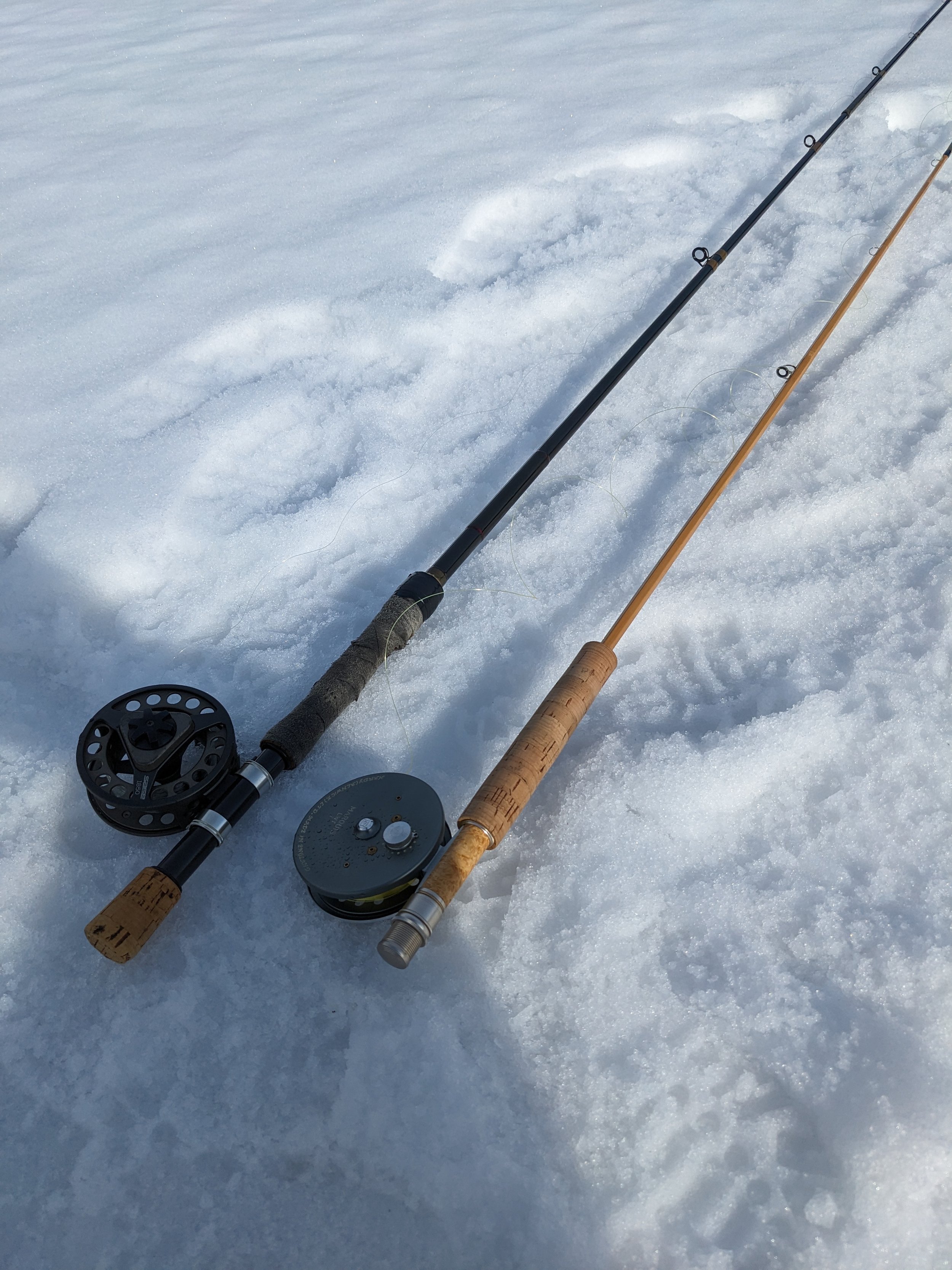 PXL_20240122_005836096 (1).jpg