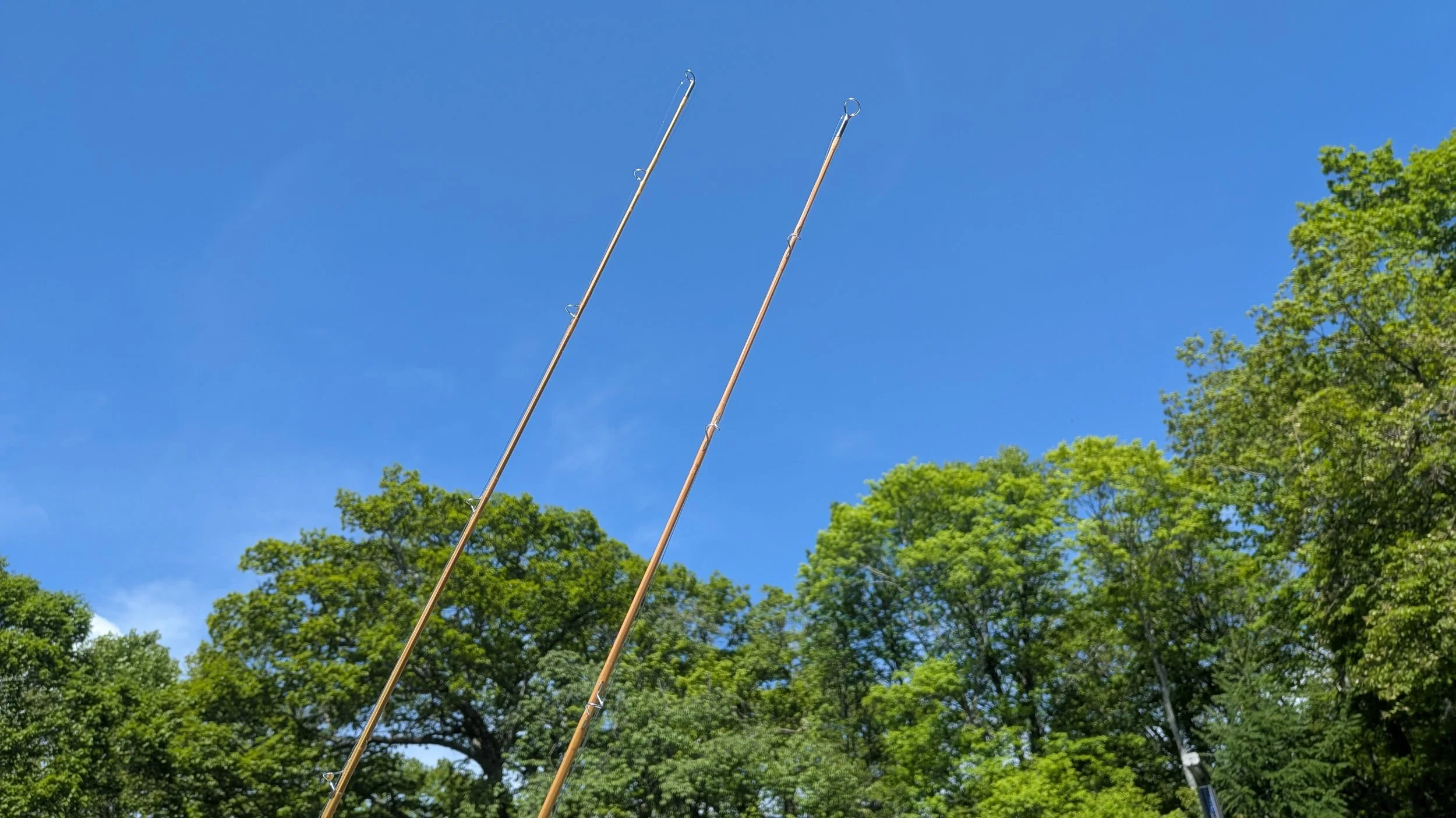 Two fishing rods pointed up towards a clear blue sky, with green trees at the bottom of the image.