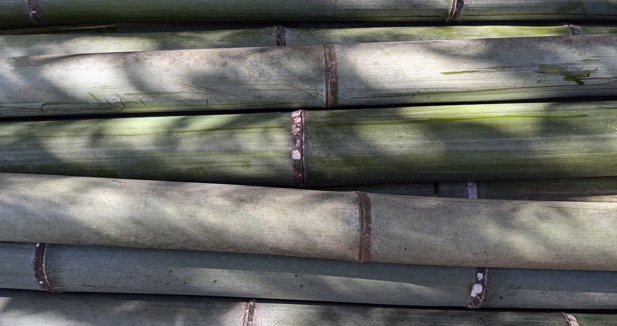 Close-up of stacked green bamboo stalks with visible nodes and natural texture.