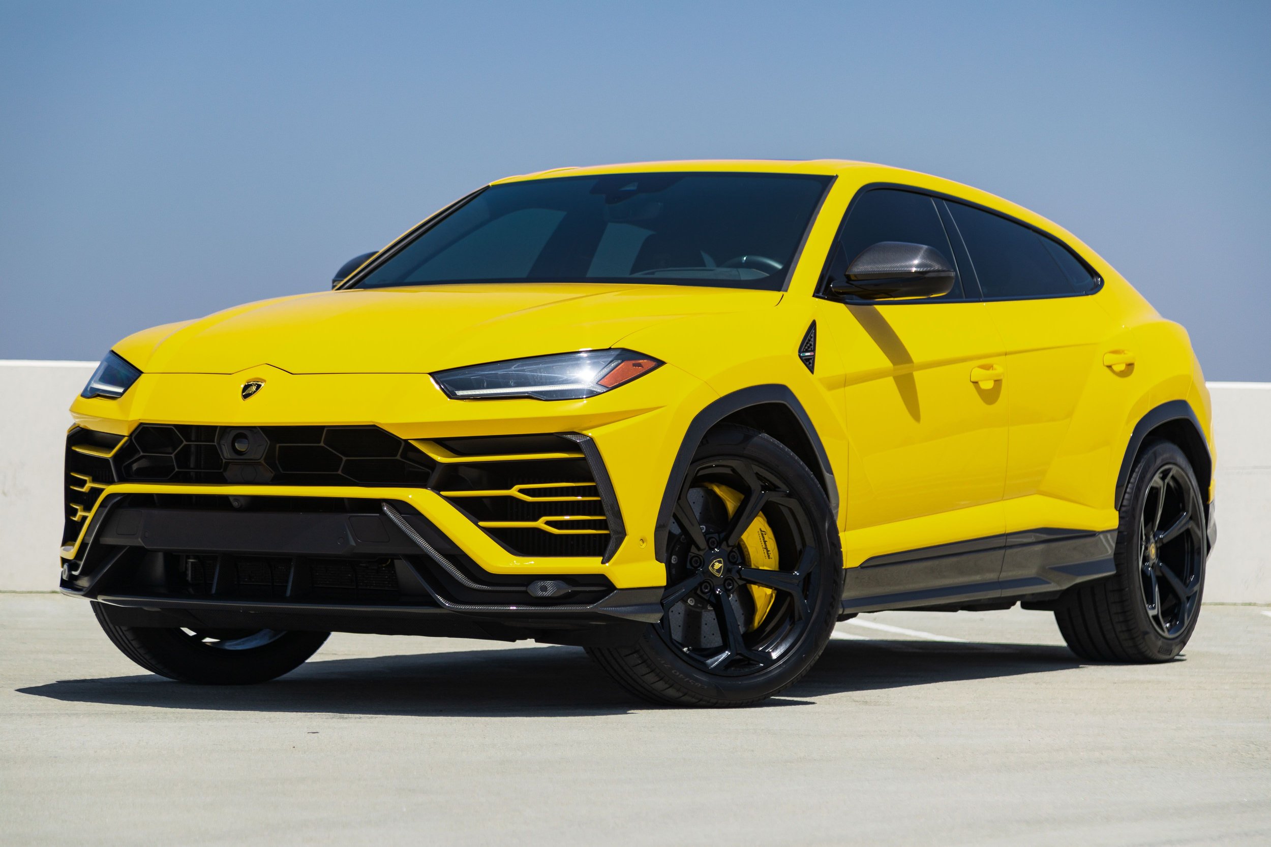 yellowurus.jpeg