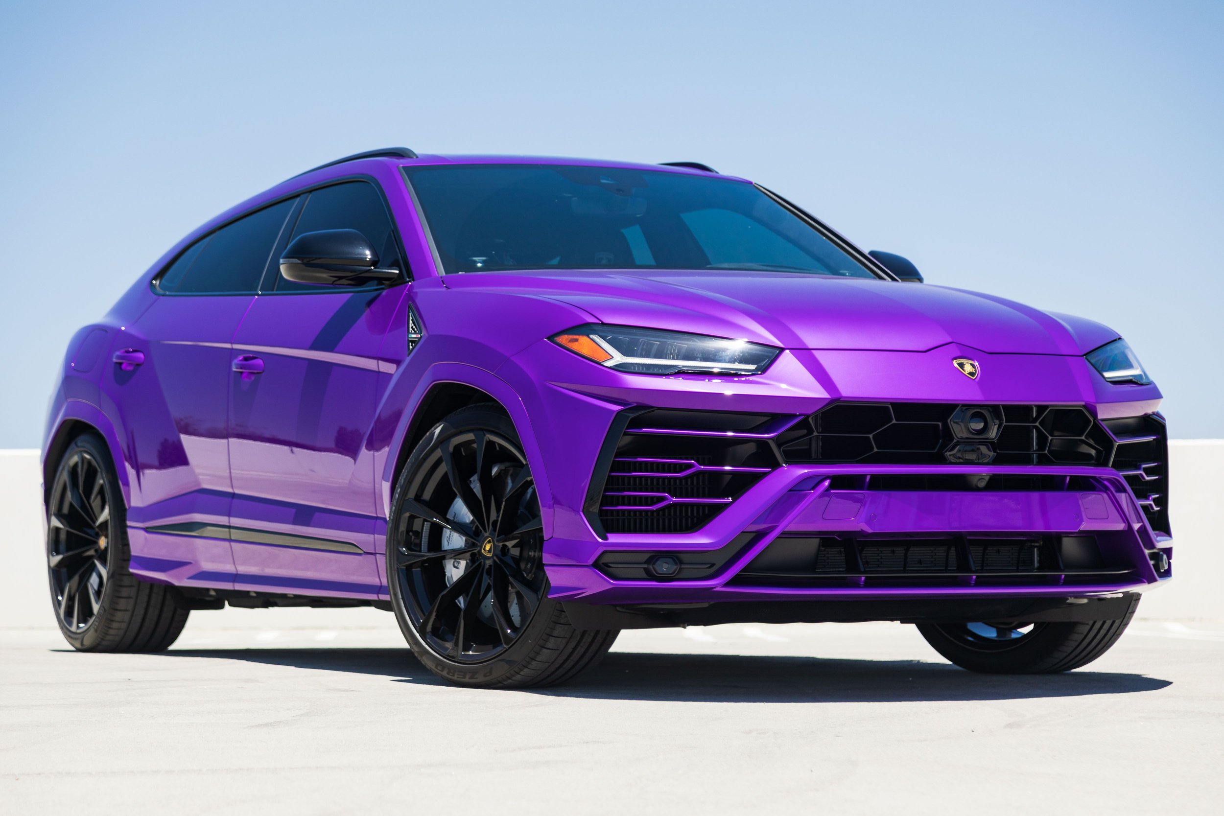 purpleurus.jpeg