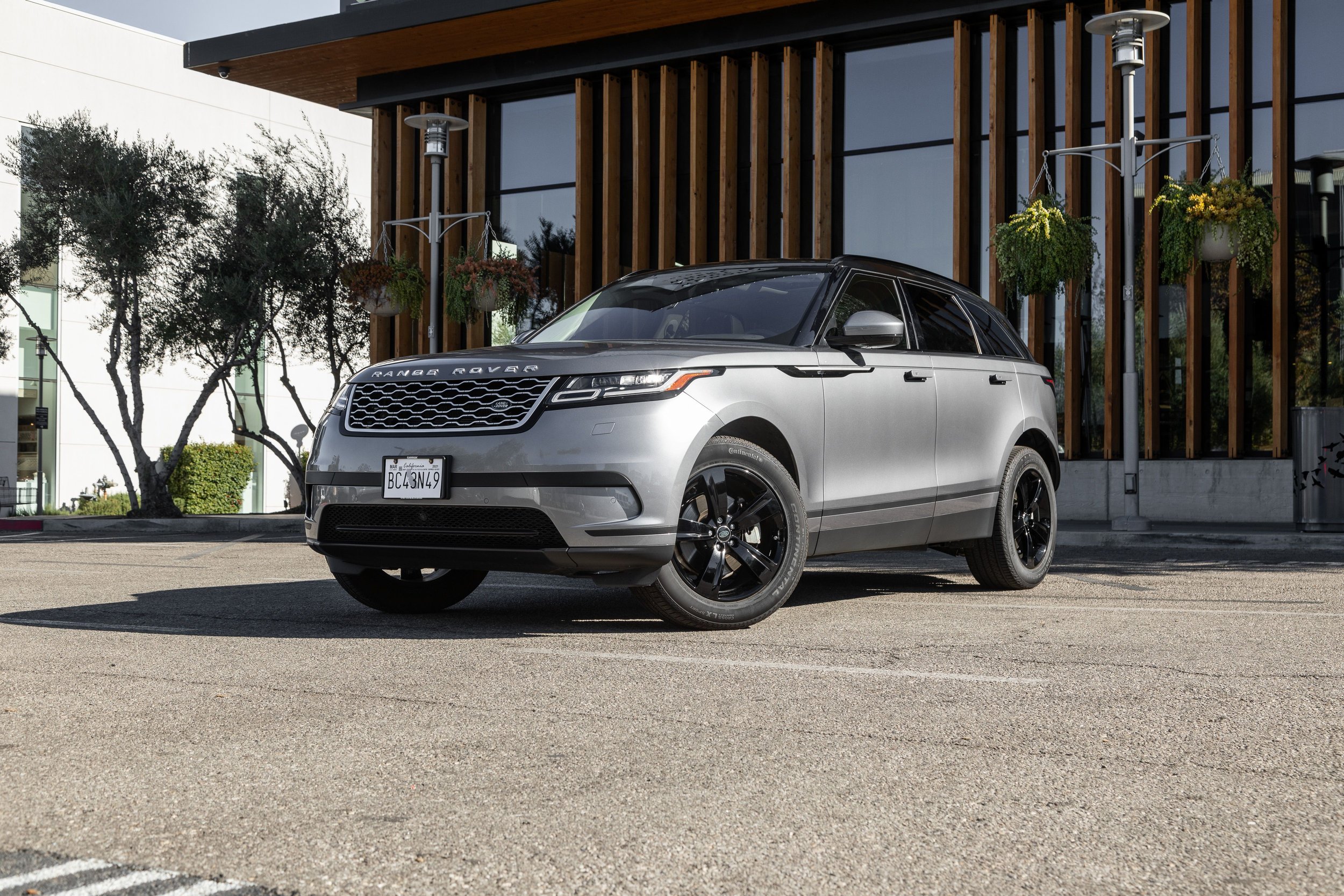 silvervelar.jpeg