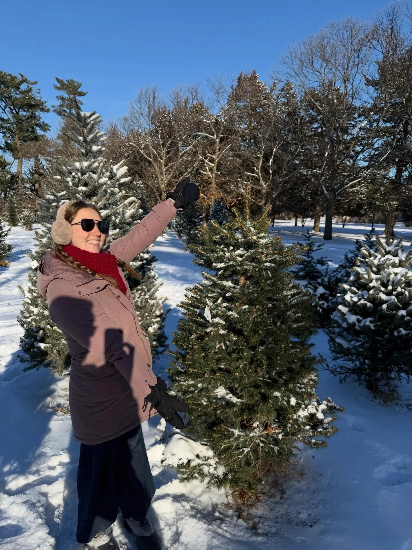 festive times are among us!!