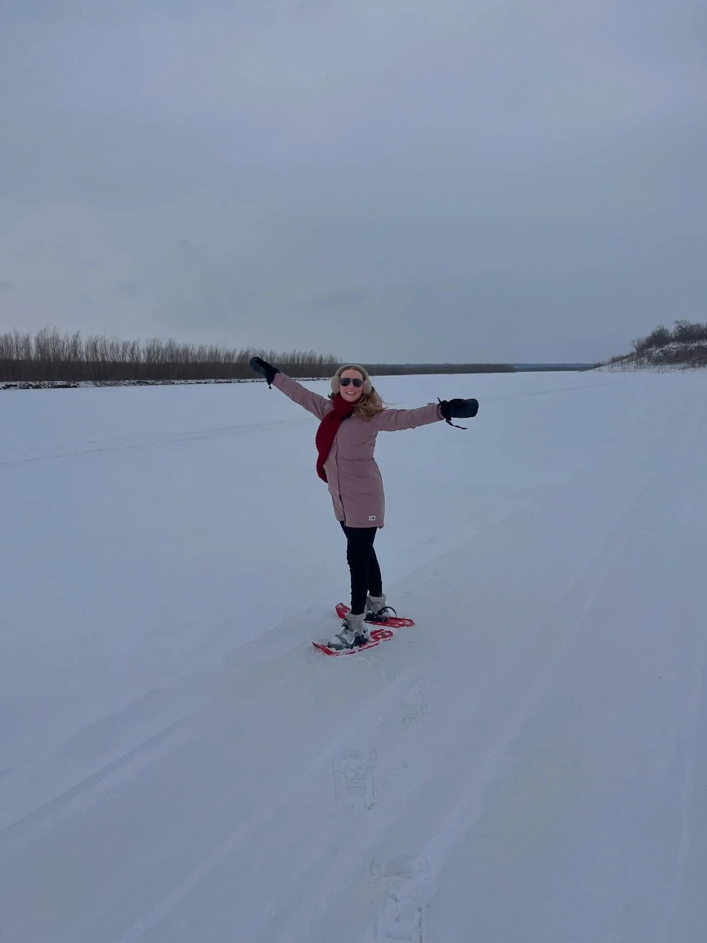 WHAT A YEAR (complimentary)