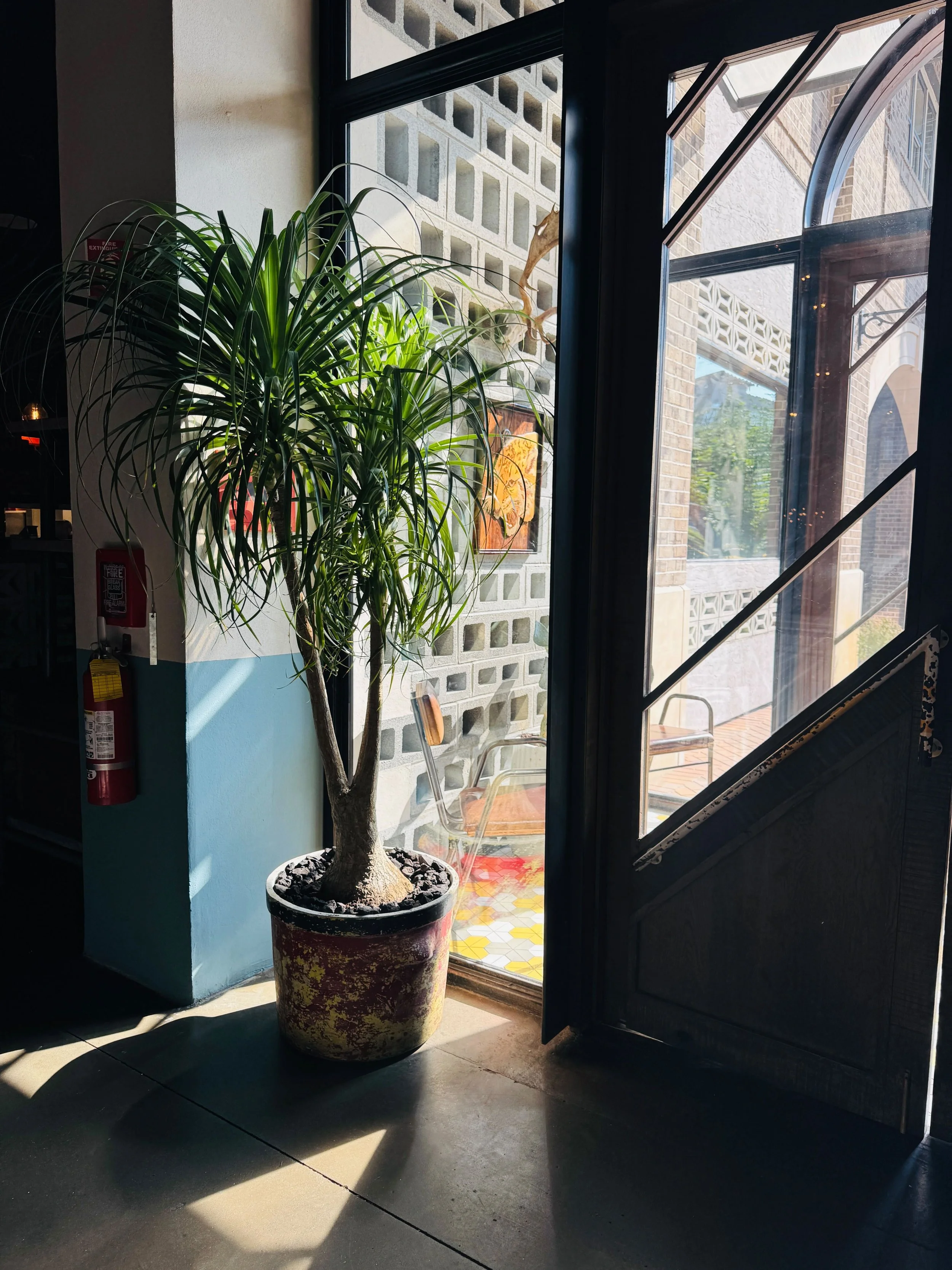 Seasonal Subscription