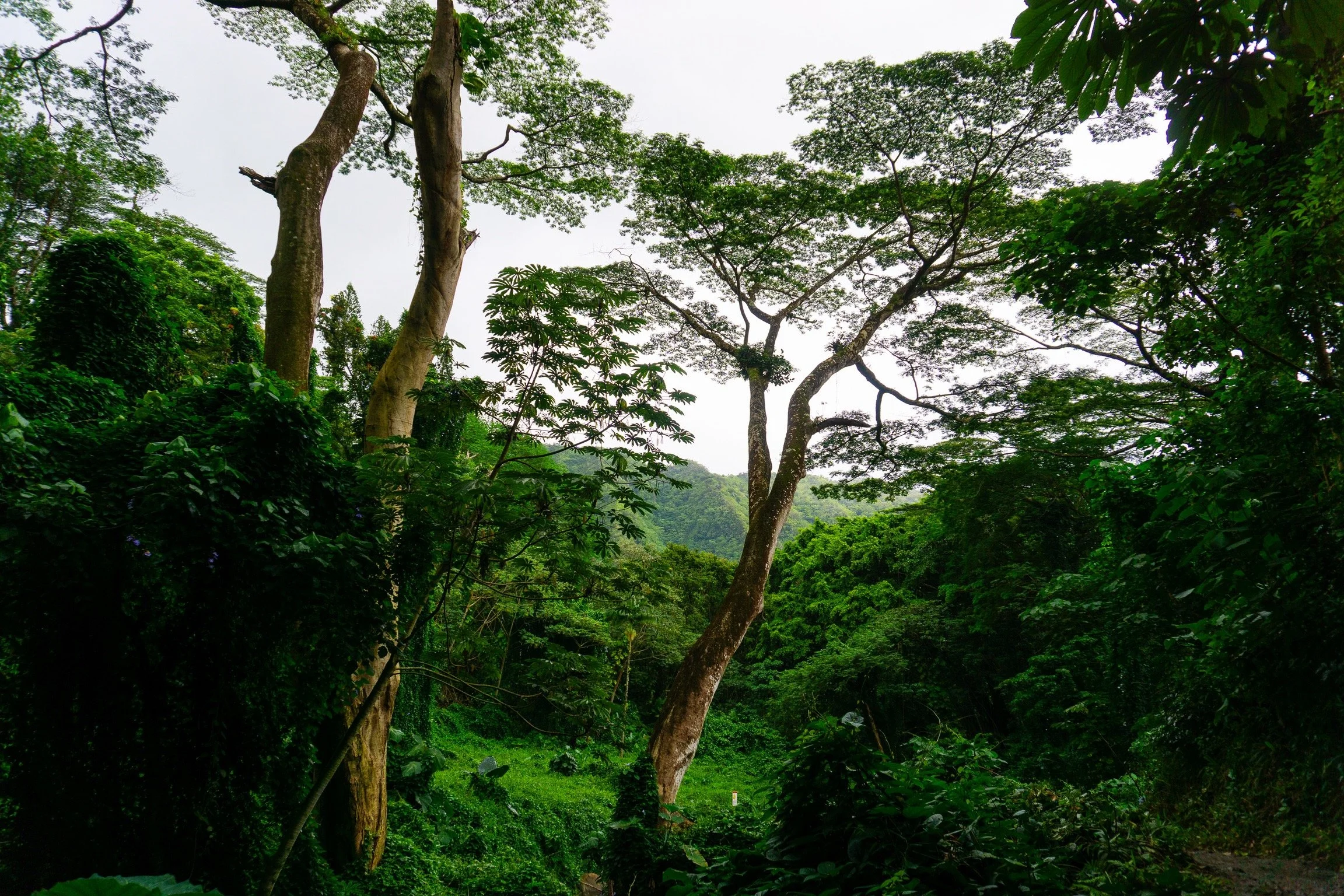 0C3D9CBC-D873-430D-AE5B-A028D4594307_VSCO 2.JPG