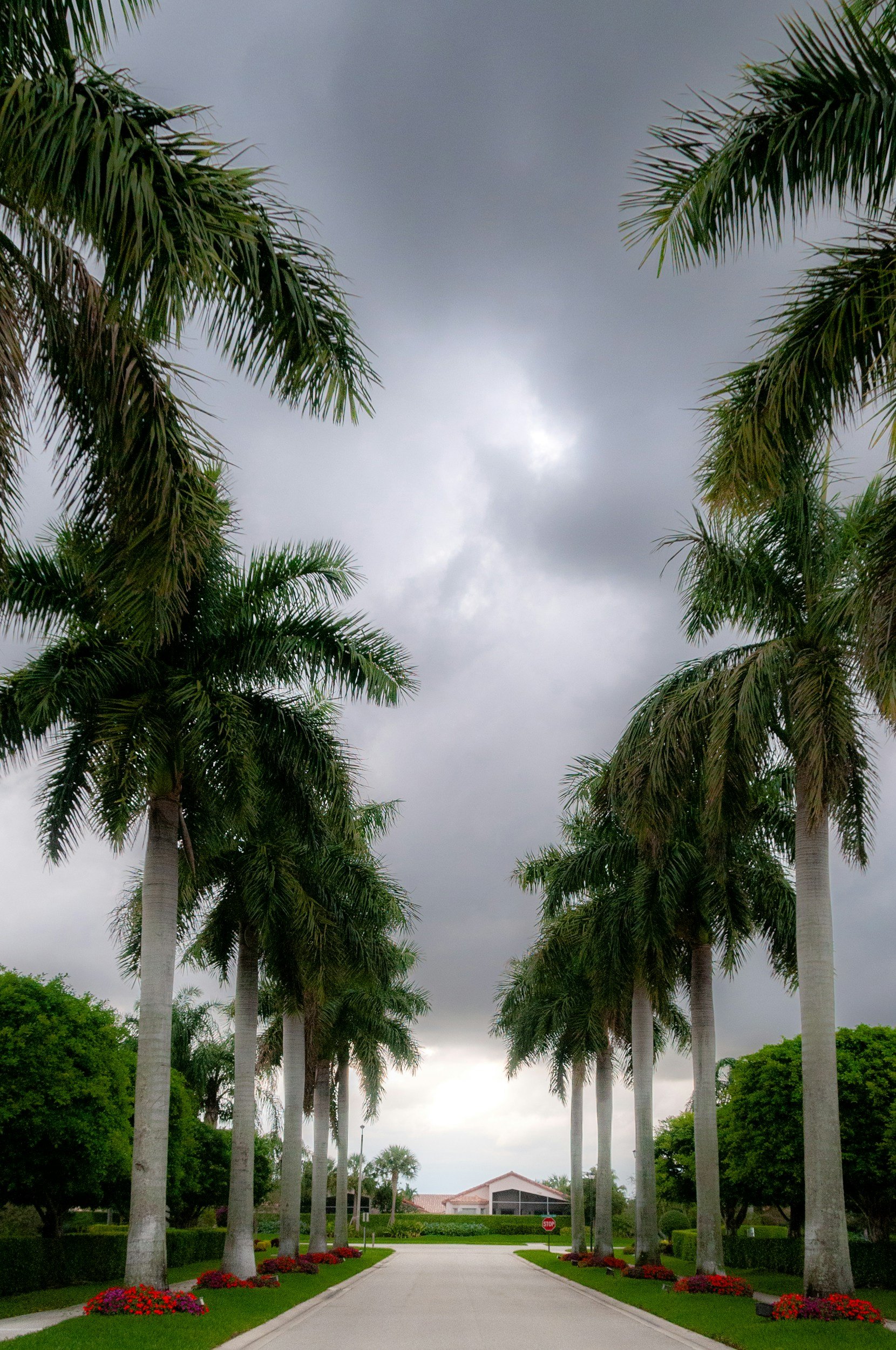 Preparing Your Commercial Property for Florida’s Rainy Season: Start with the Floor