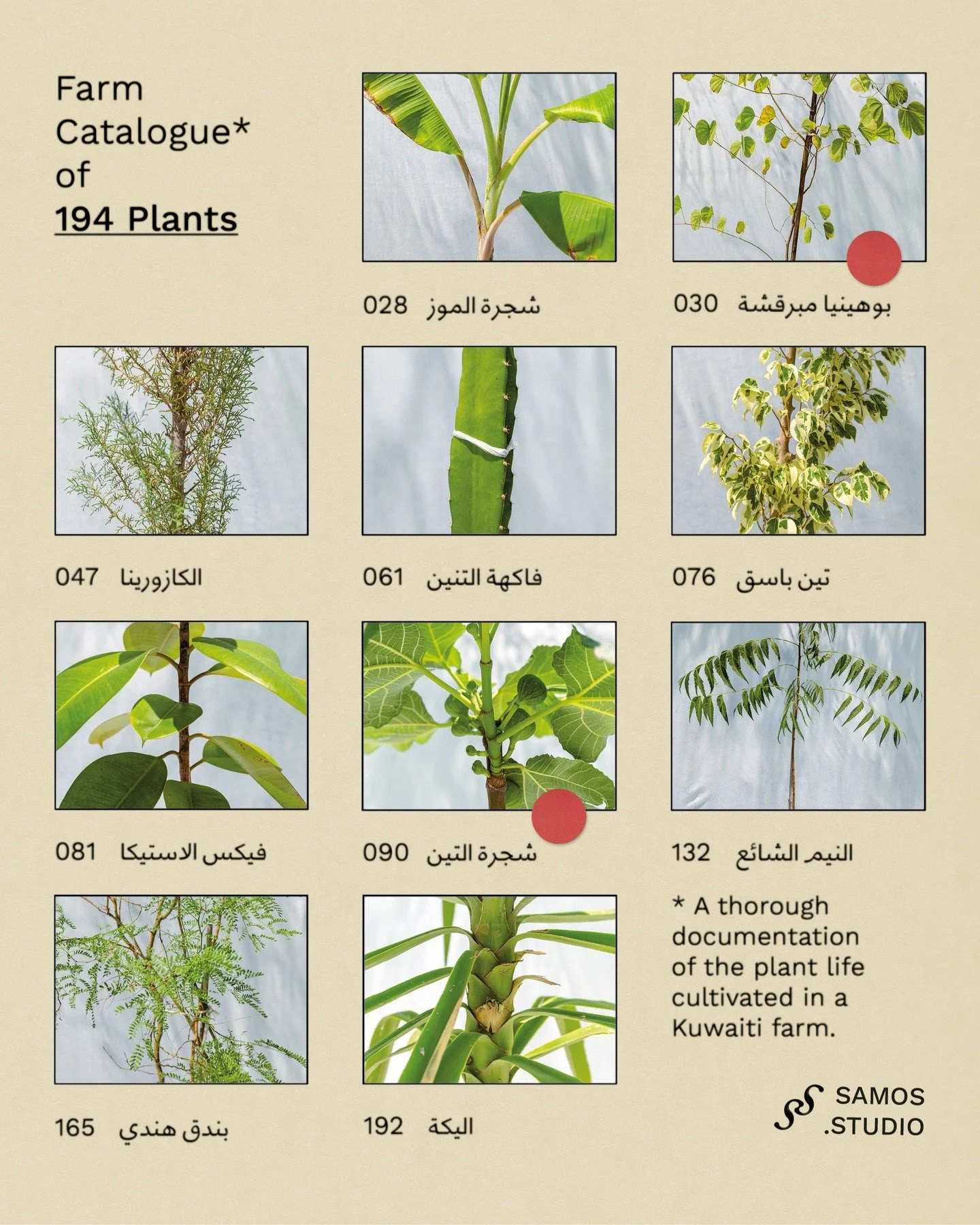 كتالوج لـ١٩٤ نبتة 🌿
توثيق للنباتات المزروعة في مزرعة كويتية.

📷 @architectureinmind