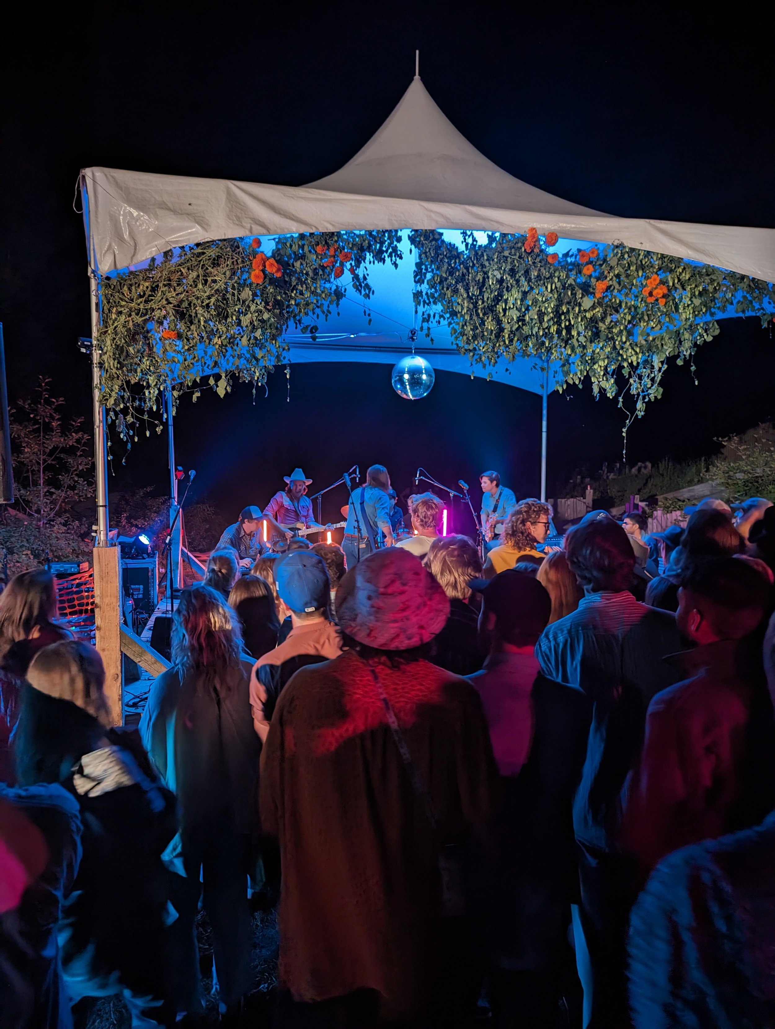 Outdoor night concert with a crowd watching a band performing on a decorated stage with foliage and a disco ball.