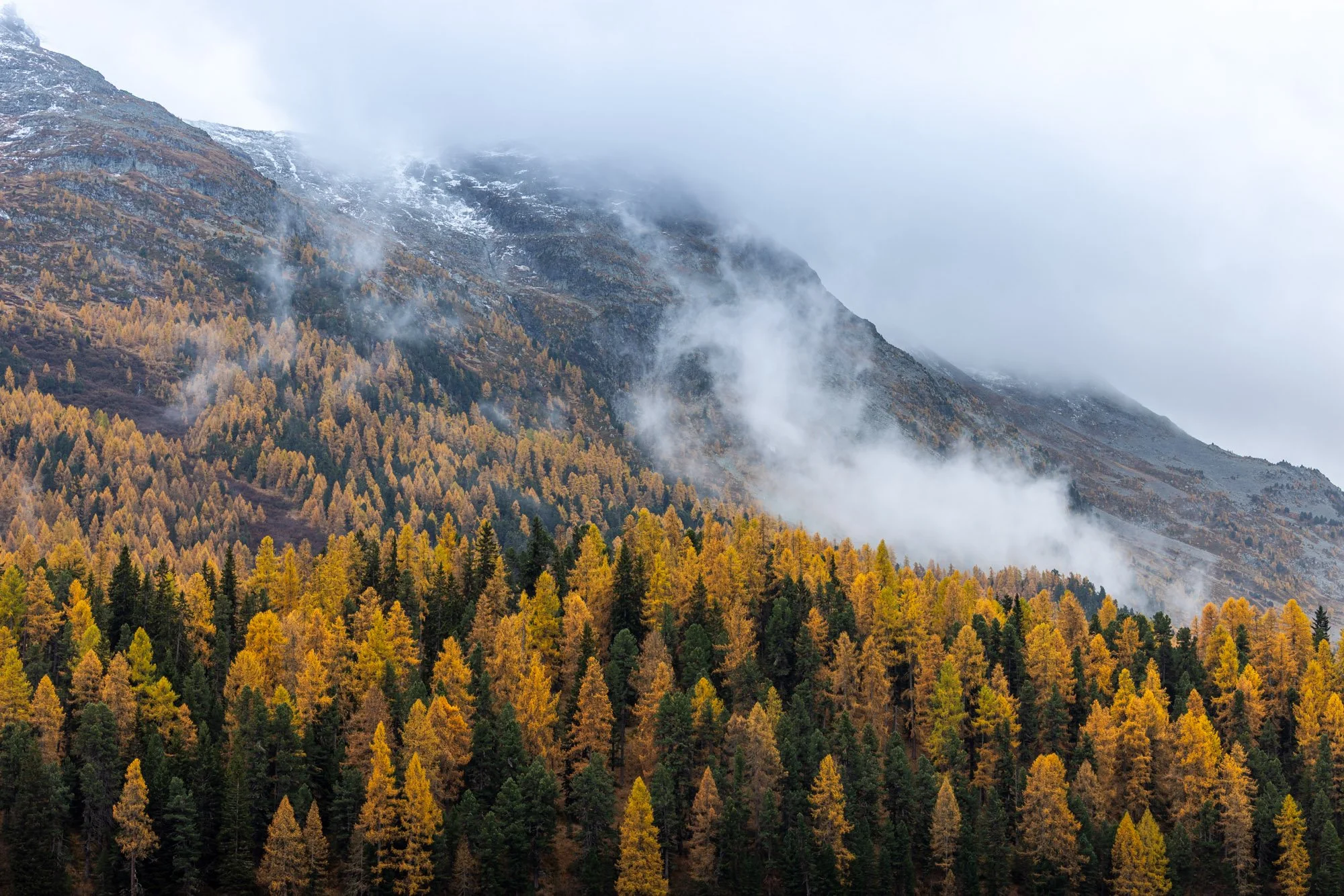 2025-10-15 [Swiss Alps in Autum - Keenan Hursh] LoRes-36.jpg
