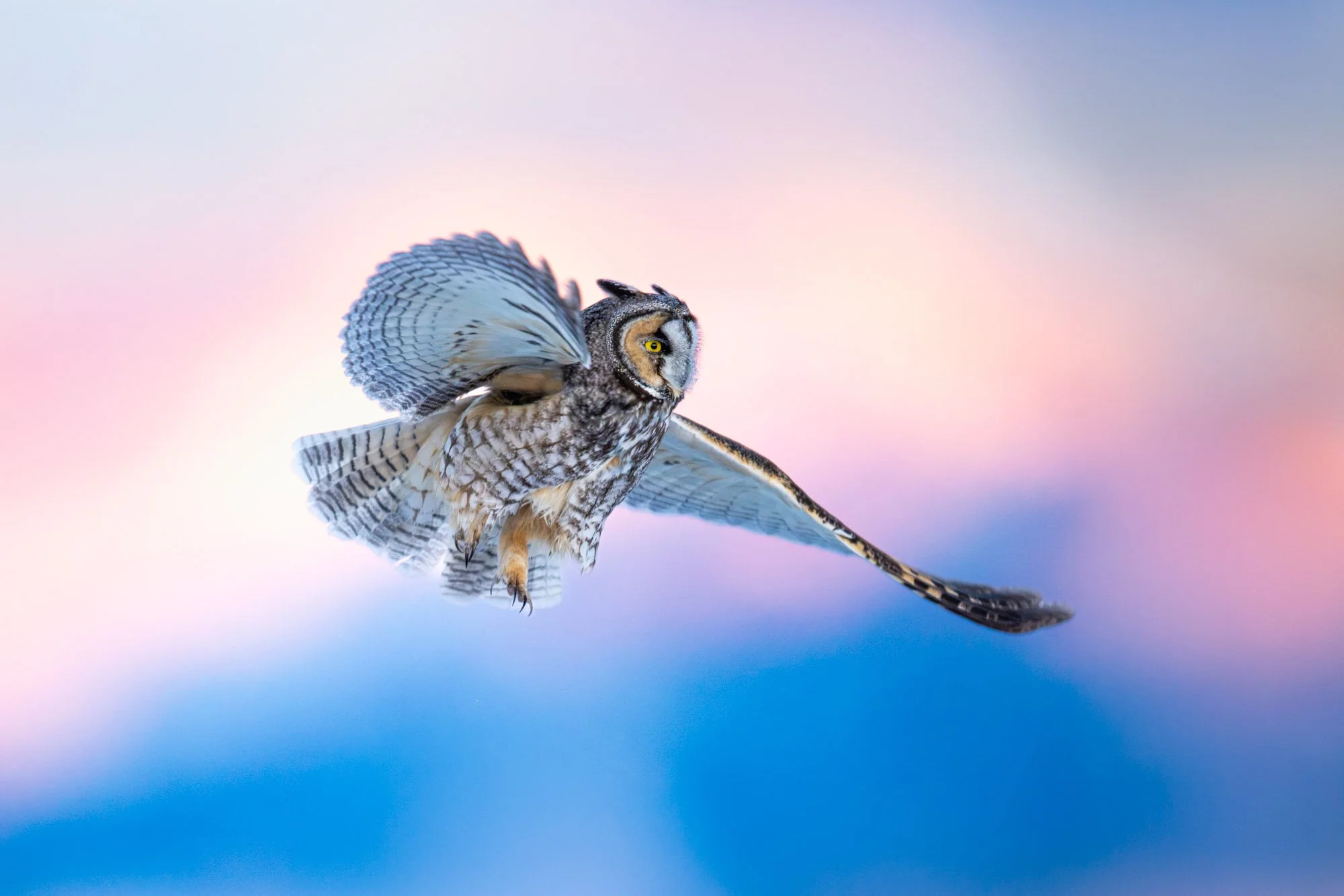 LEOW SUNSET Web-Res-1.jpg
