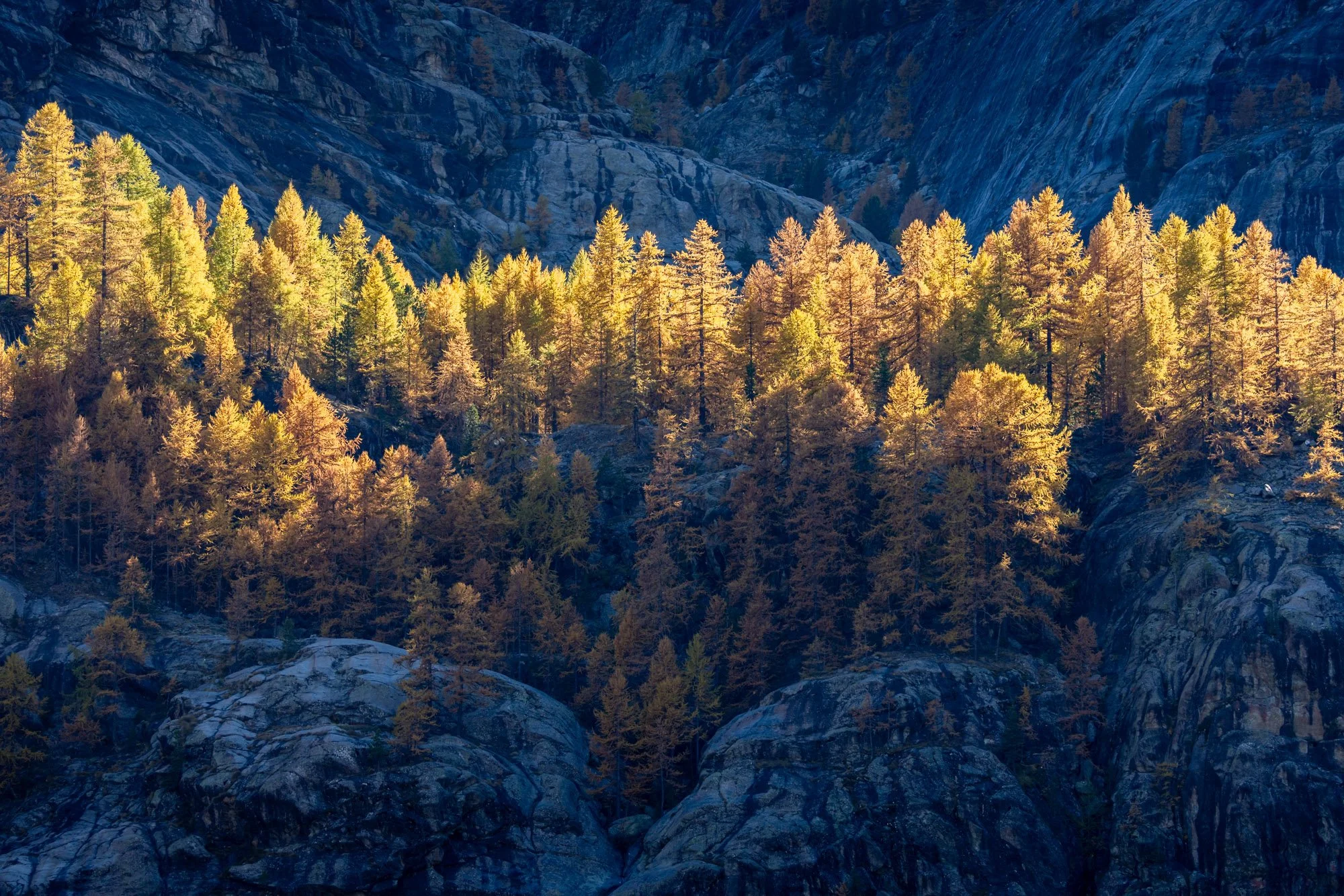 2025-10-15 [Swiss Alps in Autum - Keenan Hursh] LoRes-8.jpg