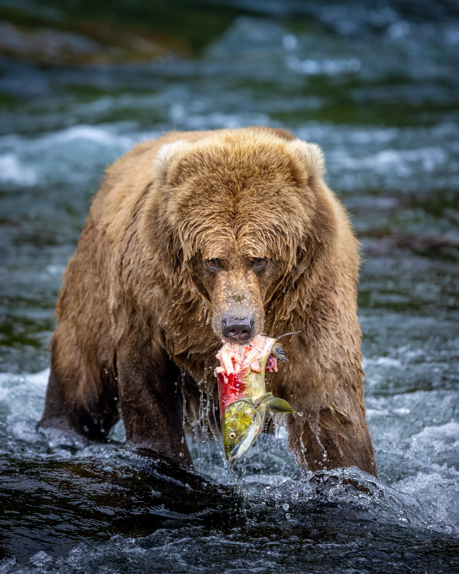 FACE TO FACE Web-Res-1.jpg