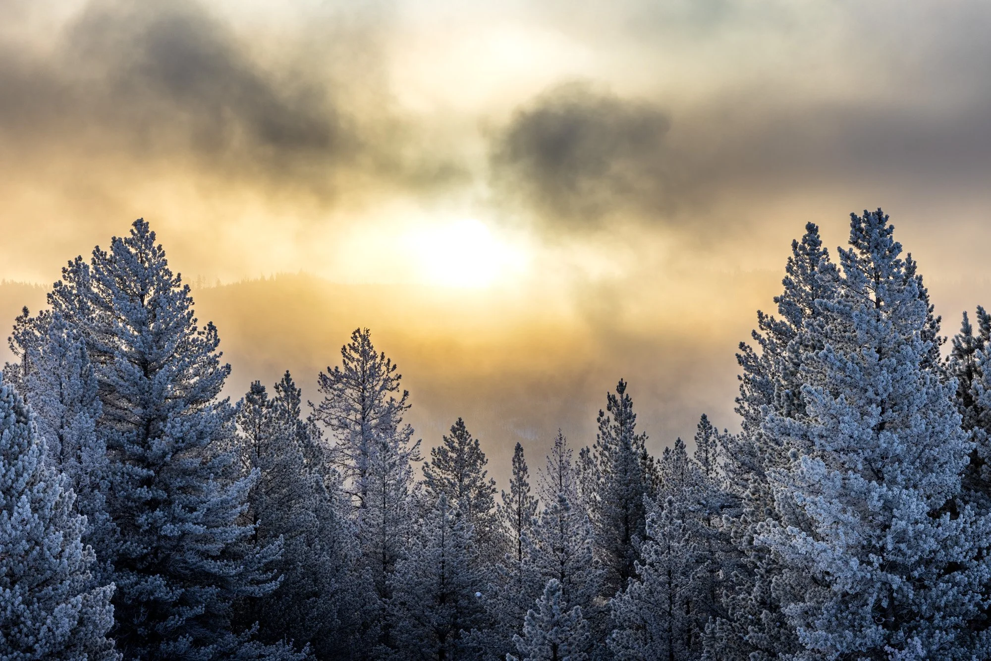 2026-02-11 [Yellowstone in Winter - Keenan Hursh] - BOTH TRIPS - HiRes-30.jpg